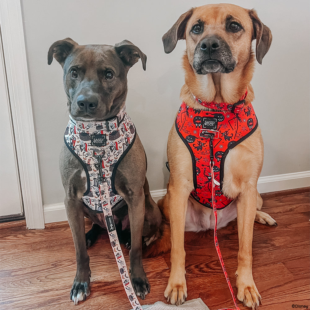 Reversible Harness - The Nightmare Before Christmas™