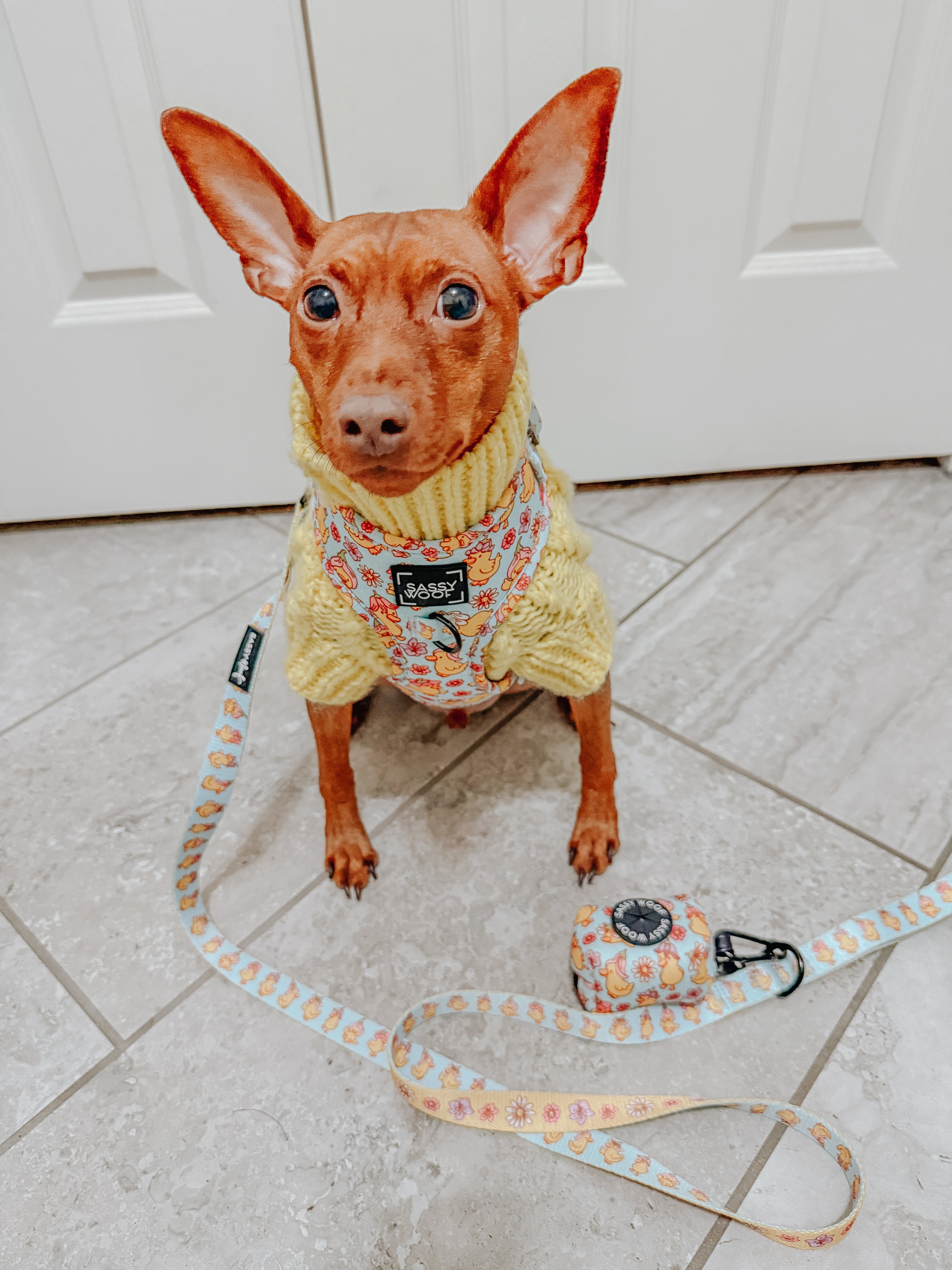 Dog Leash - Good Duck, Babe!