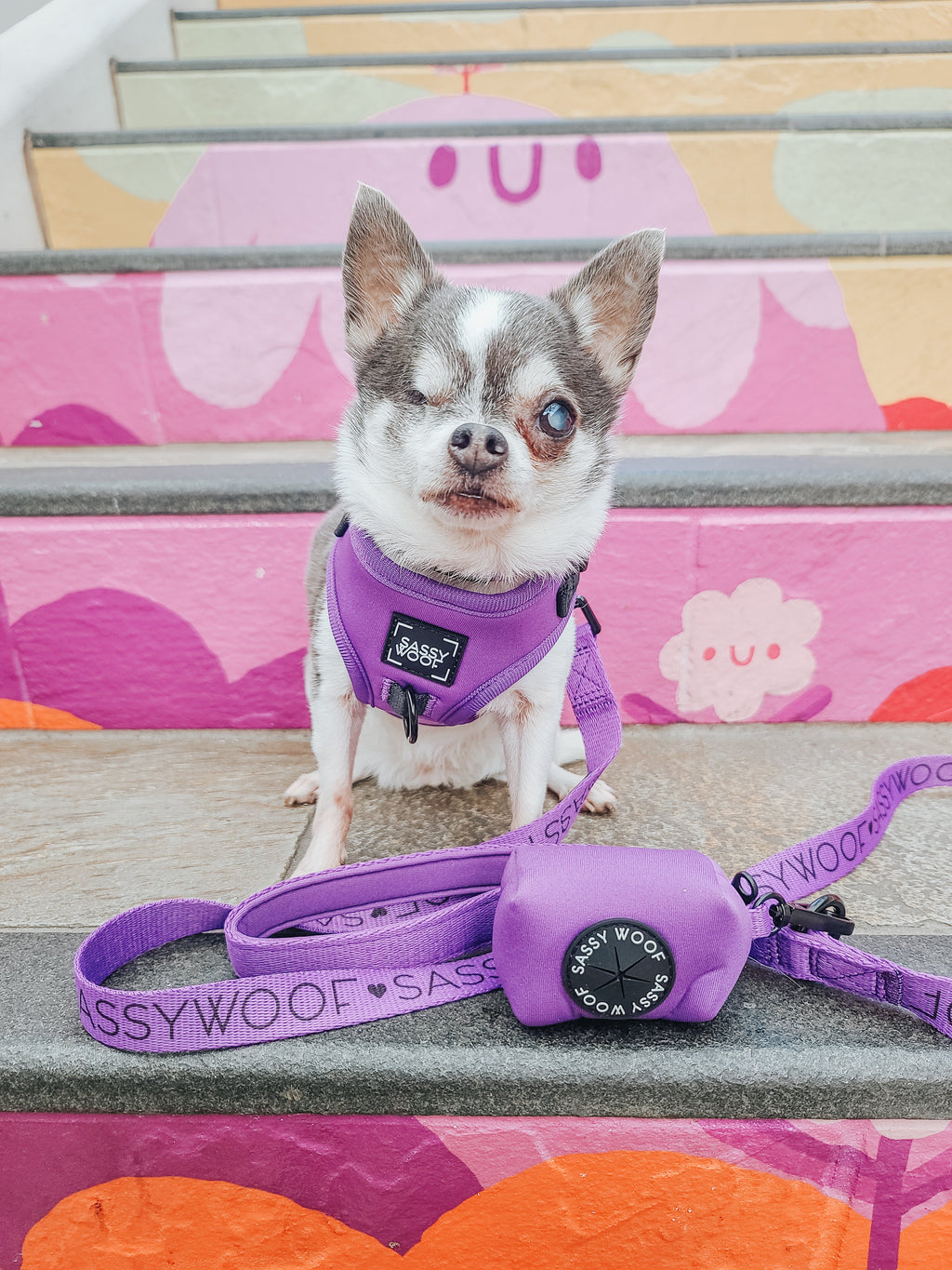 Dog Leash - Neon Purple