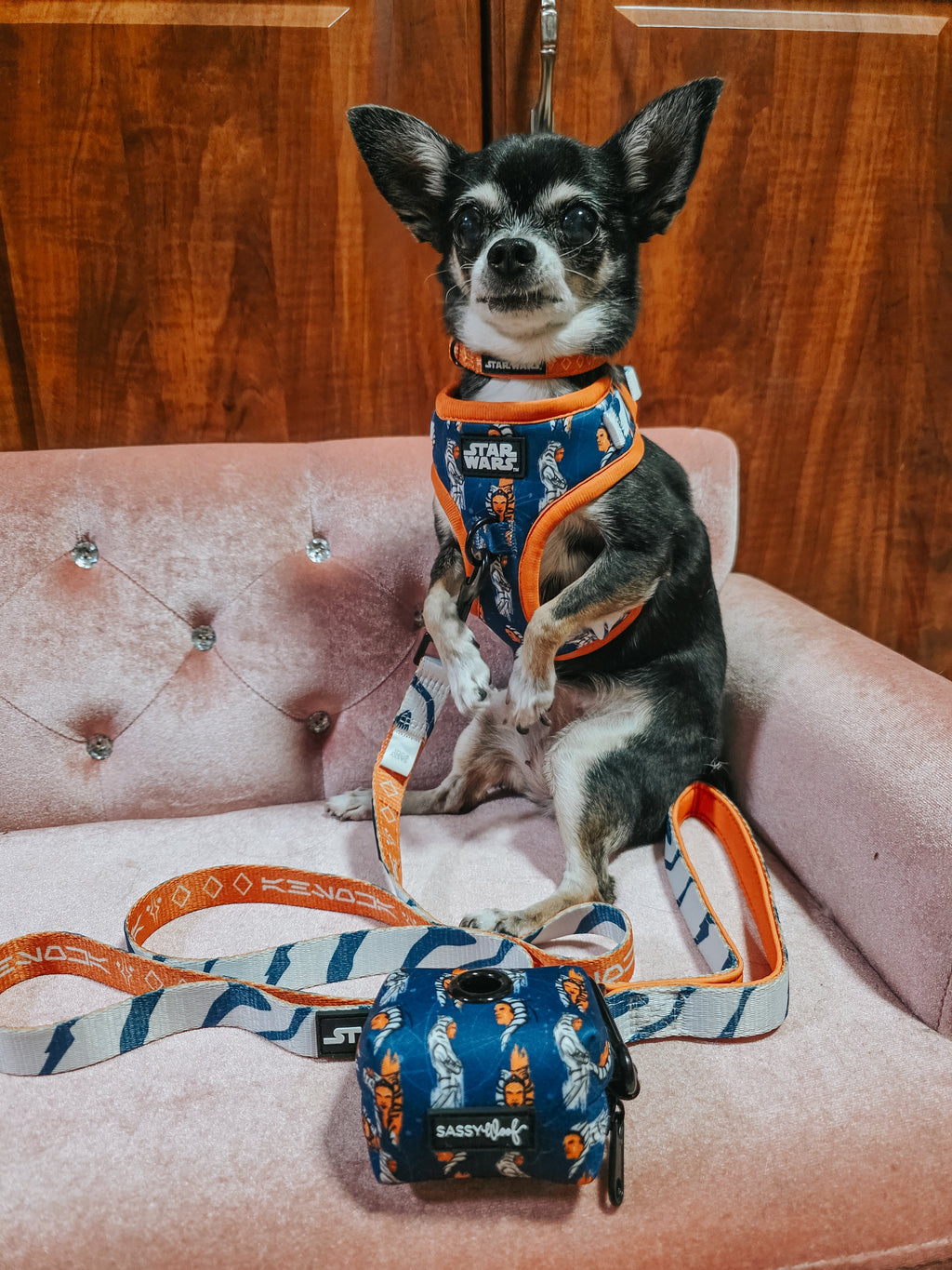 Dog Adjustable Harness - STAR WARS™ Ahsoka