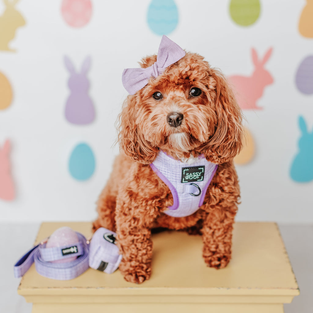 Dog Adjustable Harness - Aurora