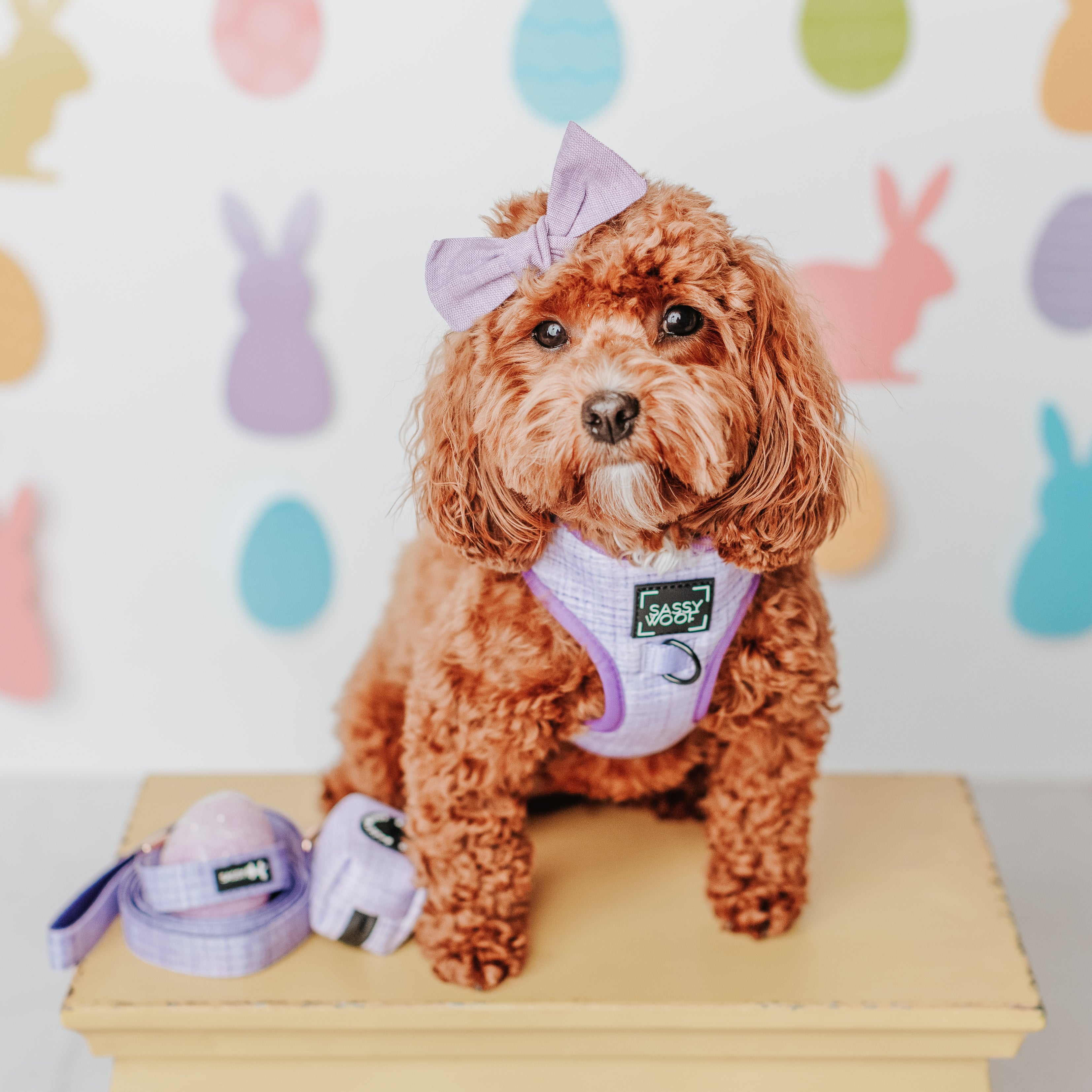 Dog Adjustable Harness - Aurora