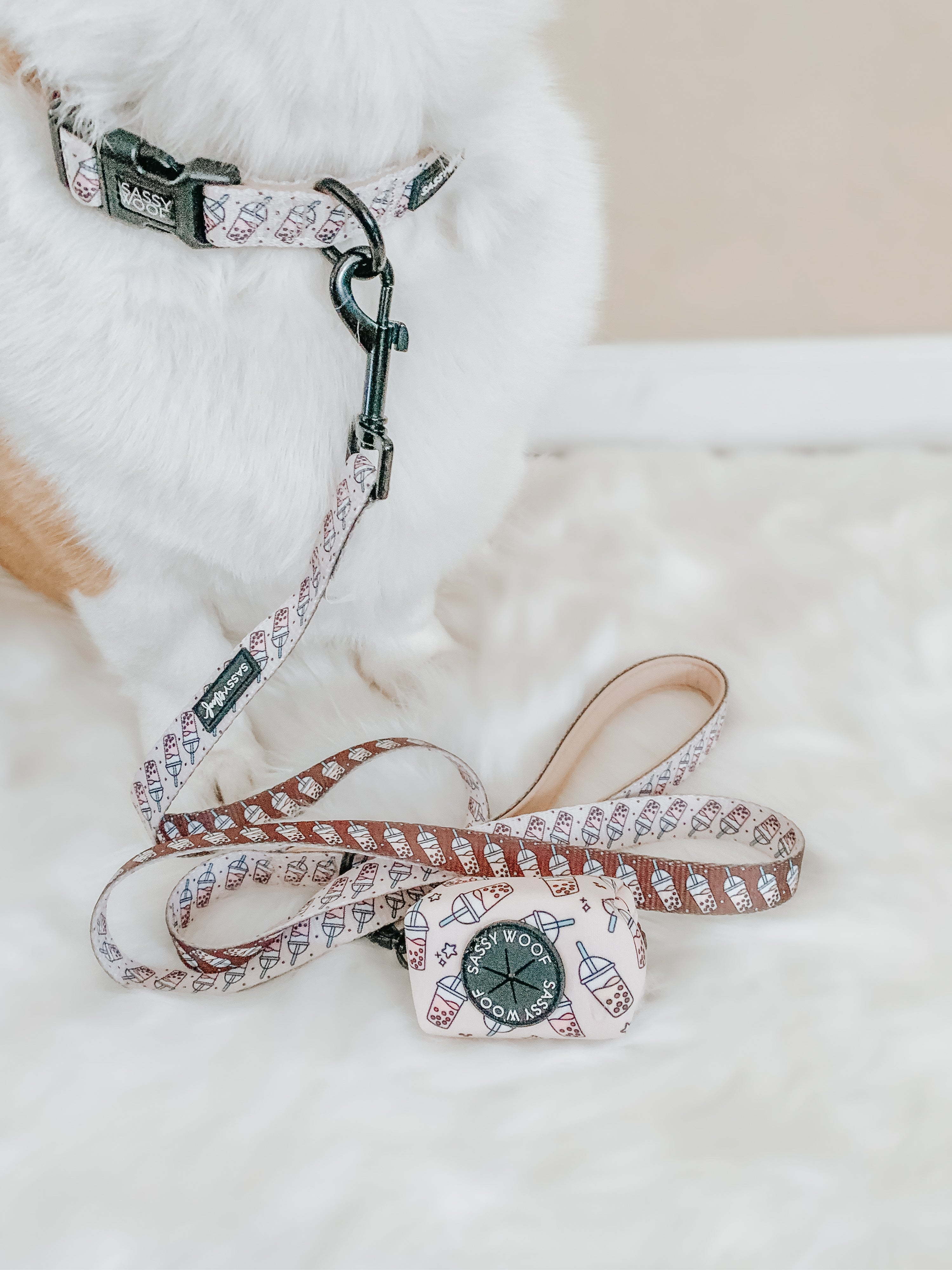 Dog Collar - Spill the Tea