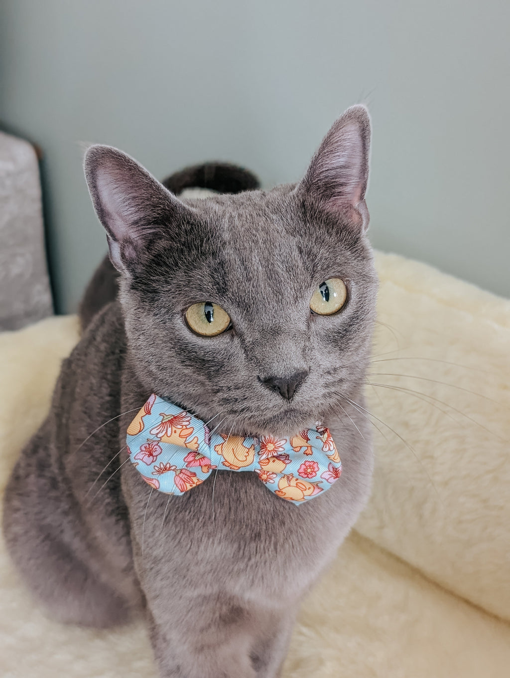 Cat Collar - Good Duck, Babe!