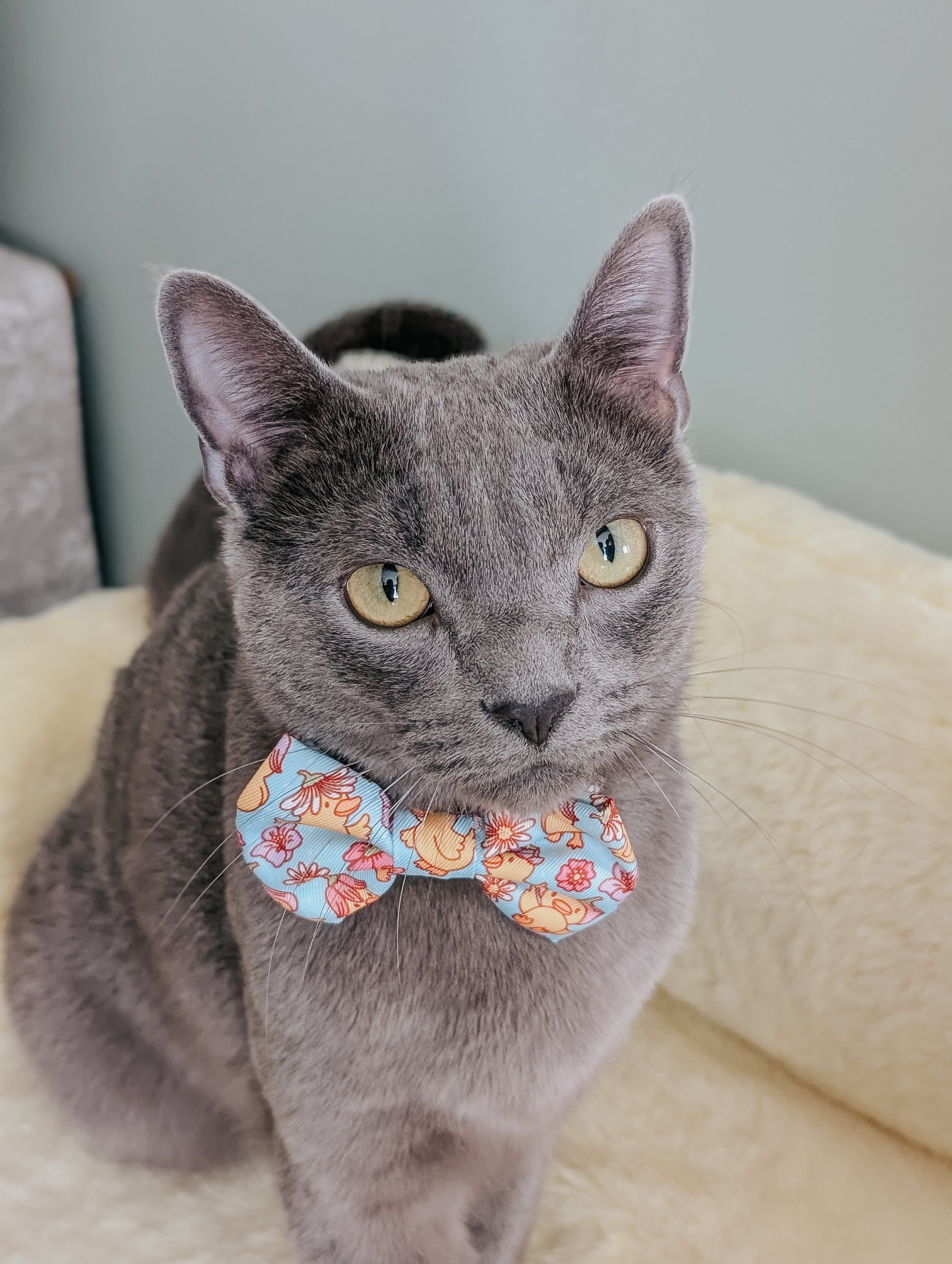 Cat Collar - Good Duck, Babe!