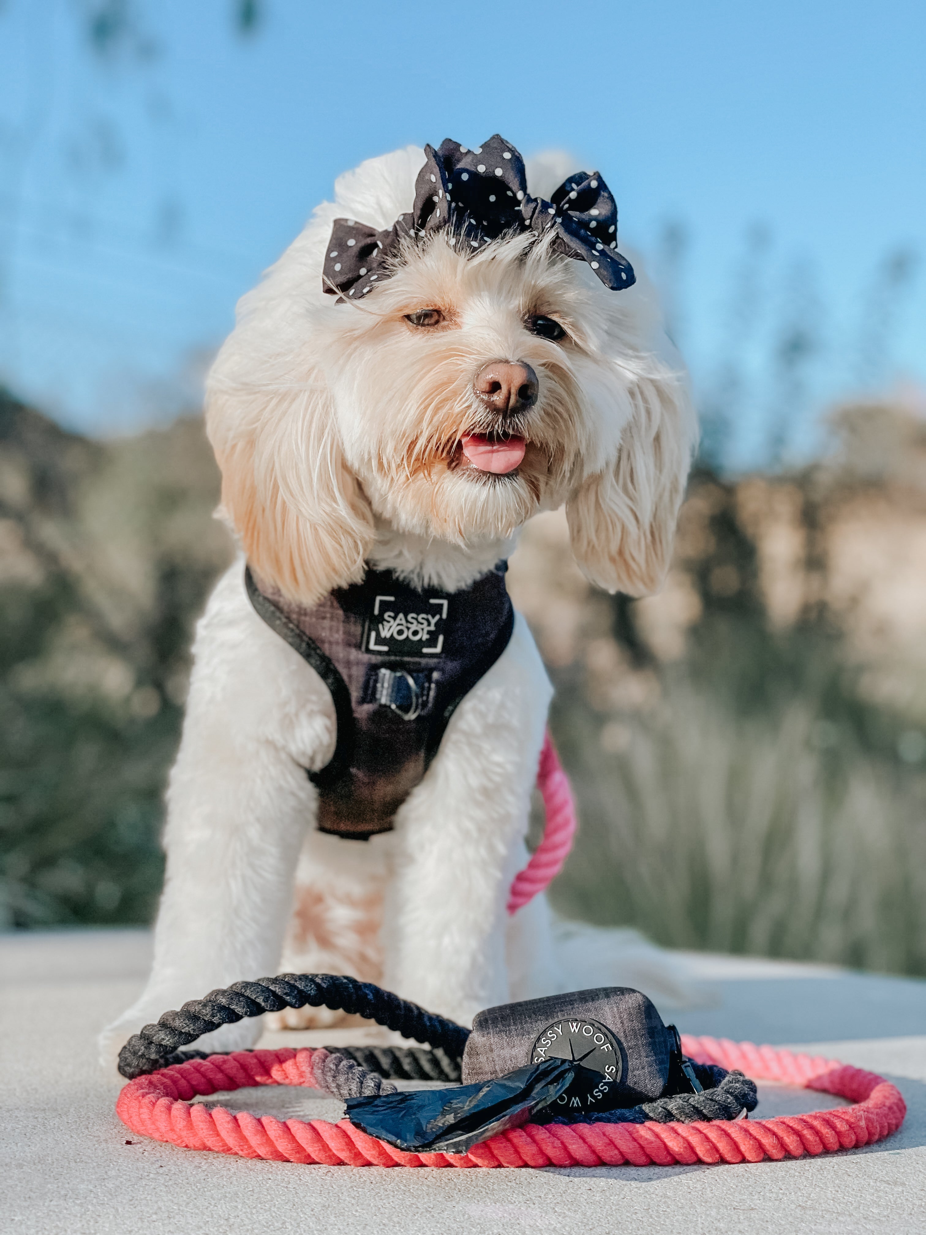 Dog Rope Leash - Juliet