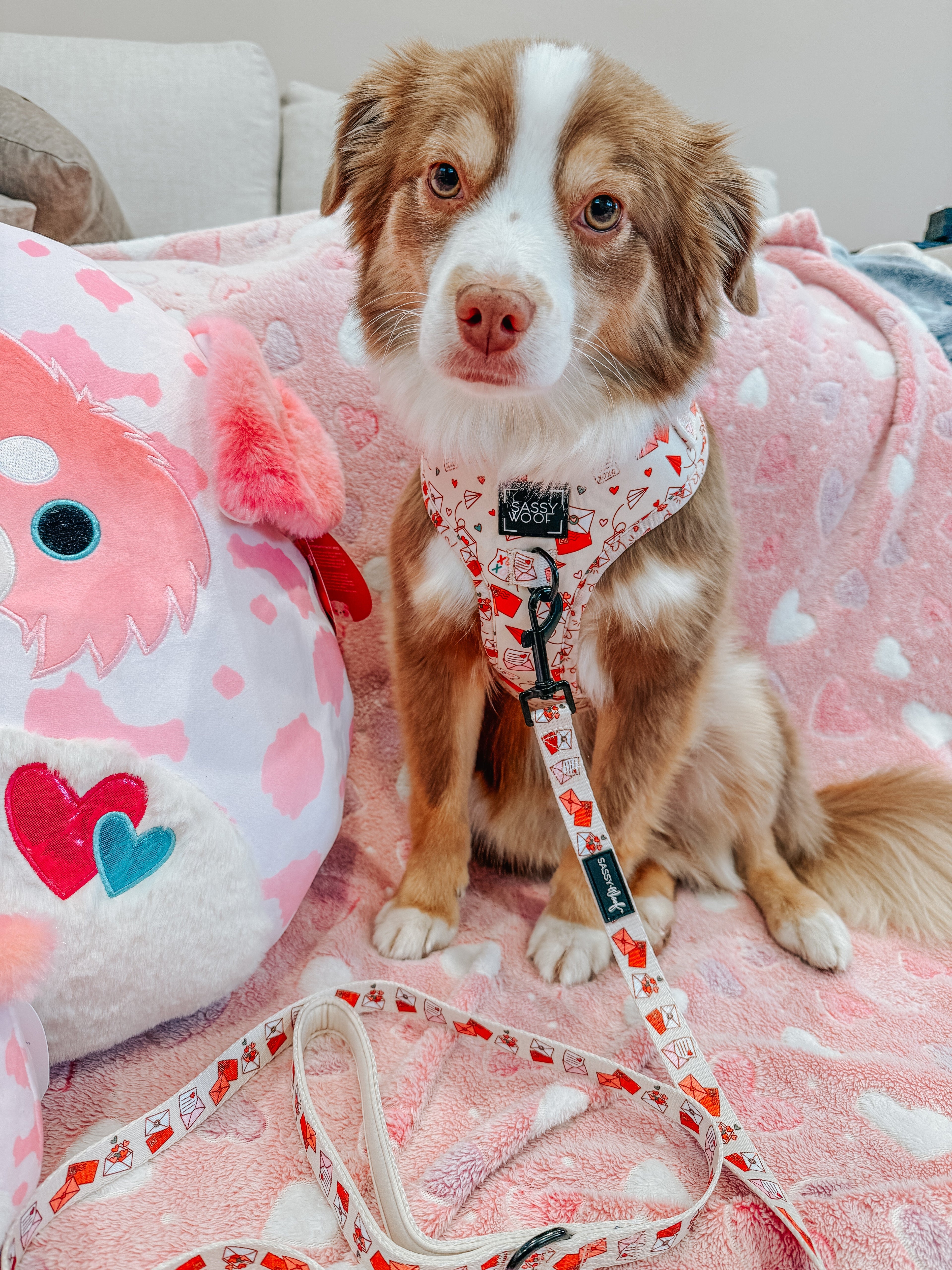 Dog Adjustable Harness - P.S. I Woof You