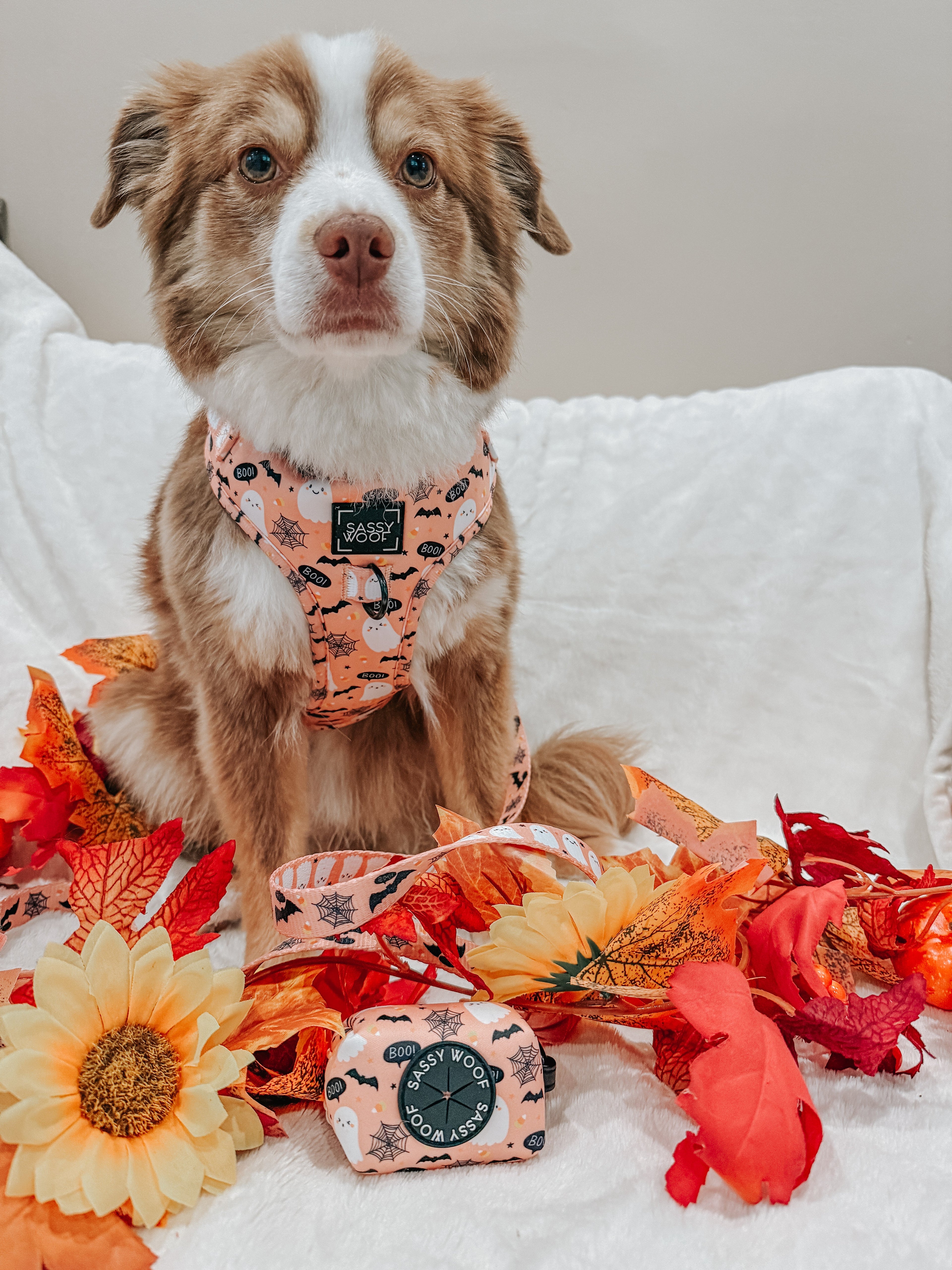 Dog Adjustable Harness - Squad Ghouls