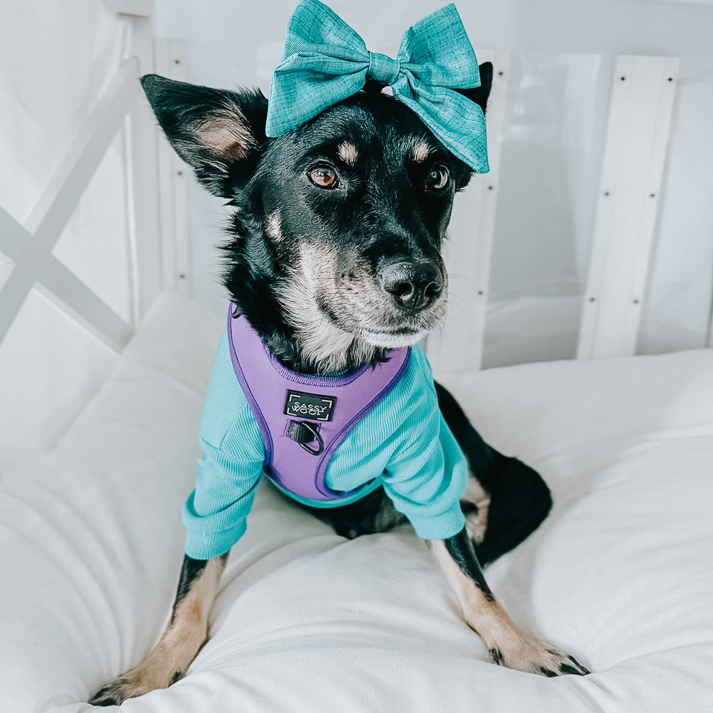 Dog Adjustable Harness - Neon Purple
