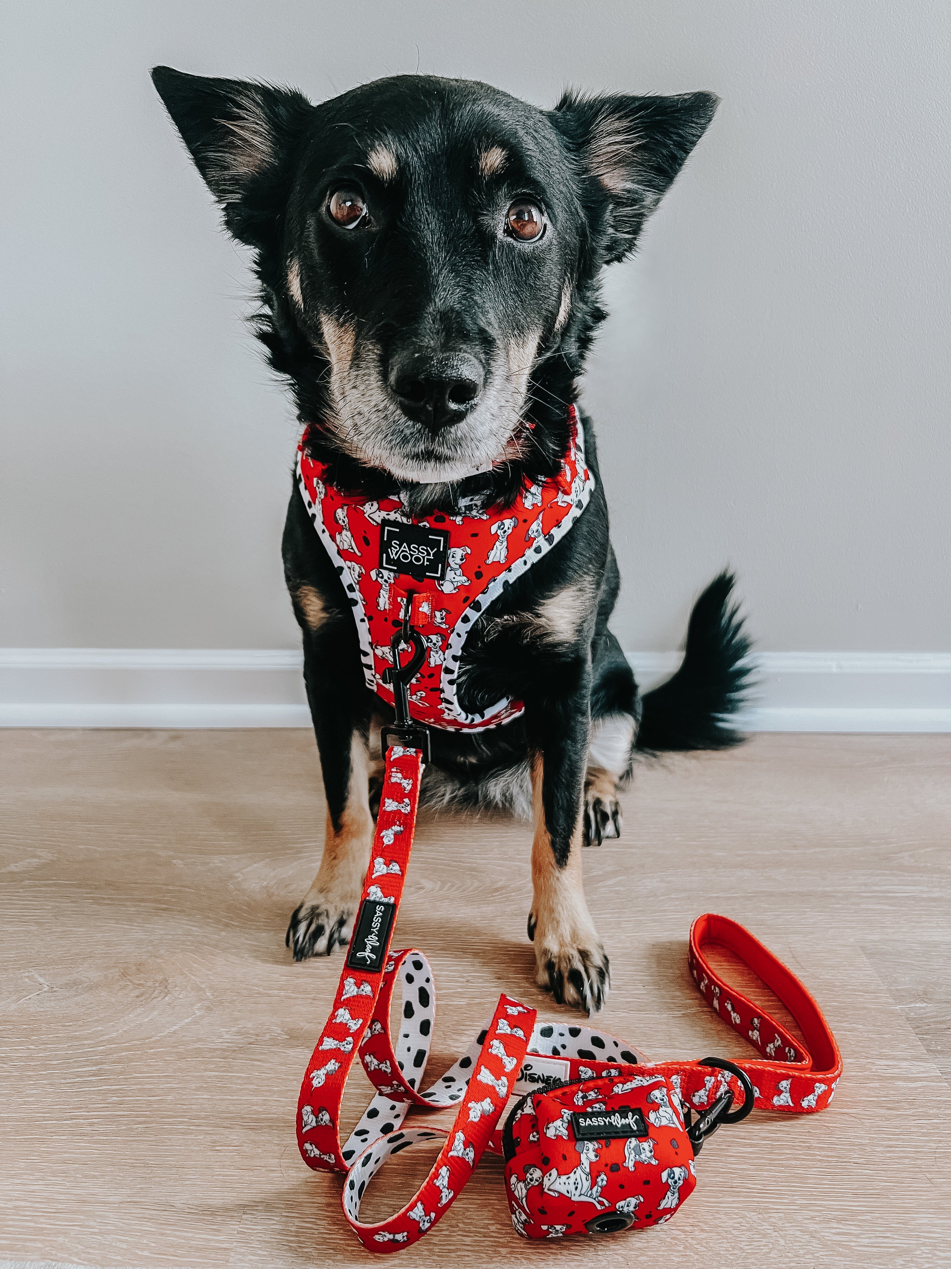 Dog Collar - Disney's 101 Dalmatians