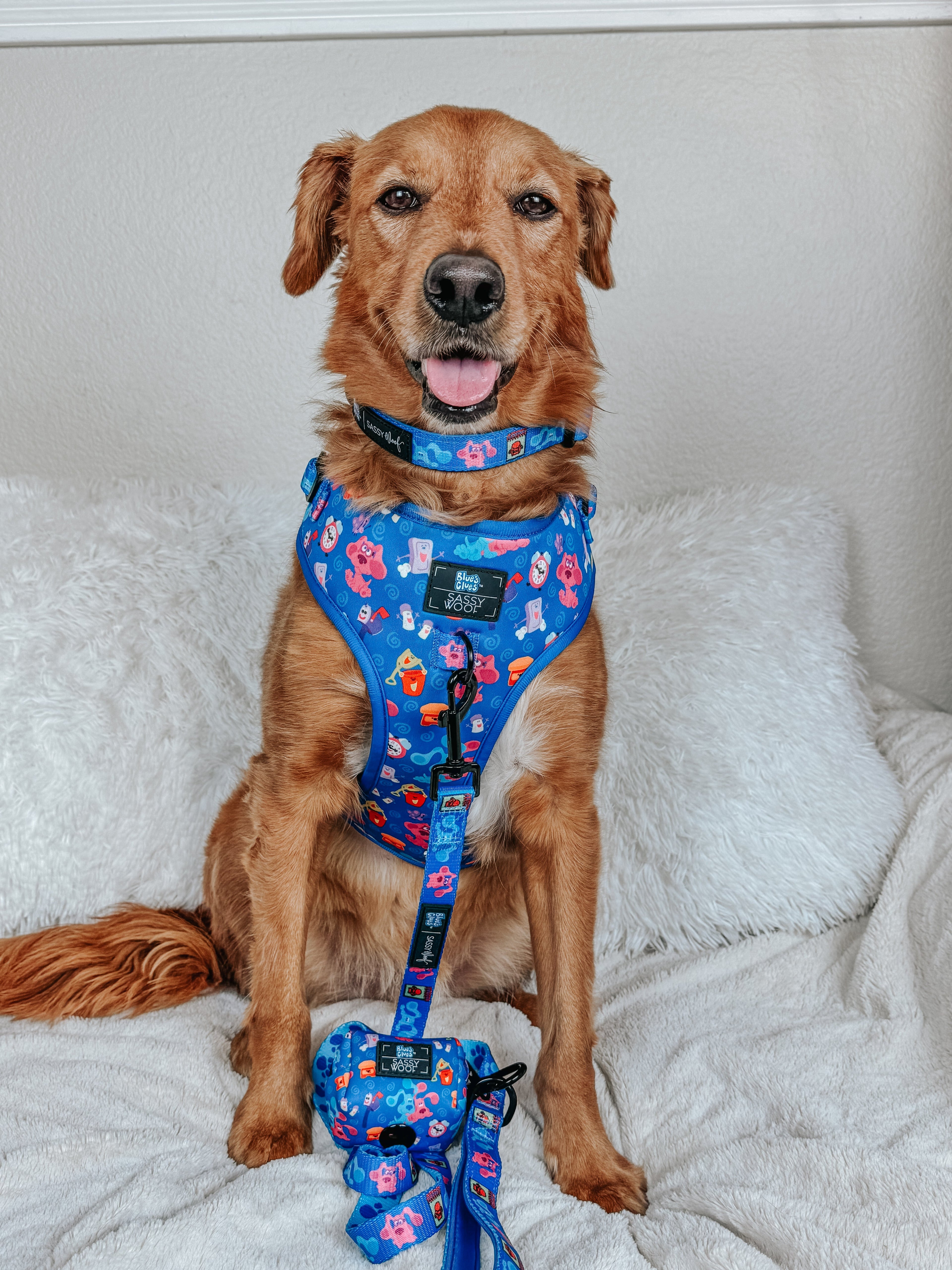 Dog Adjustable Harness - Blue's Clues™