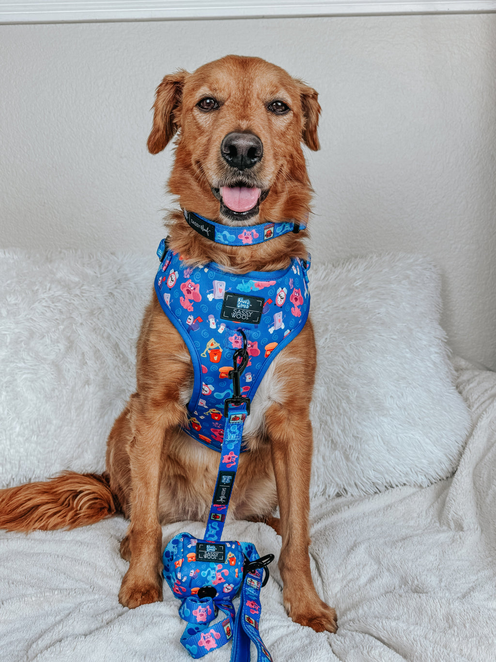 Dog Collar - Blue's Clues™
