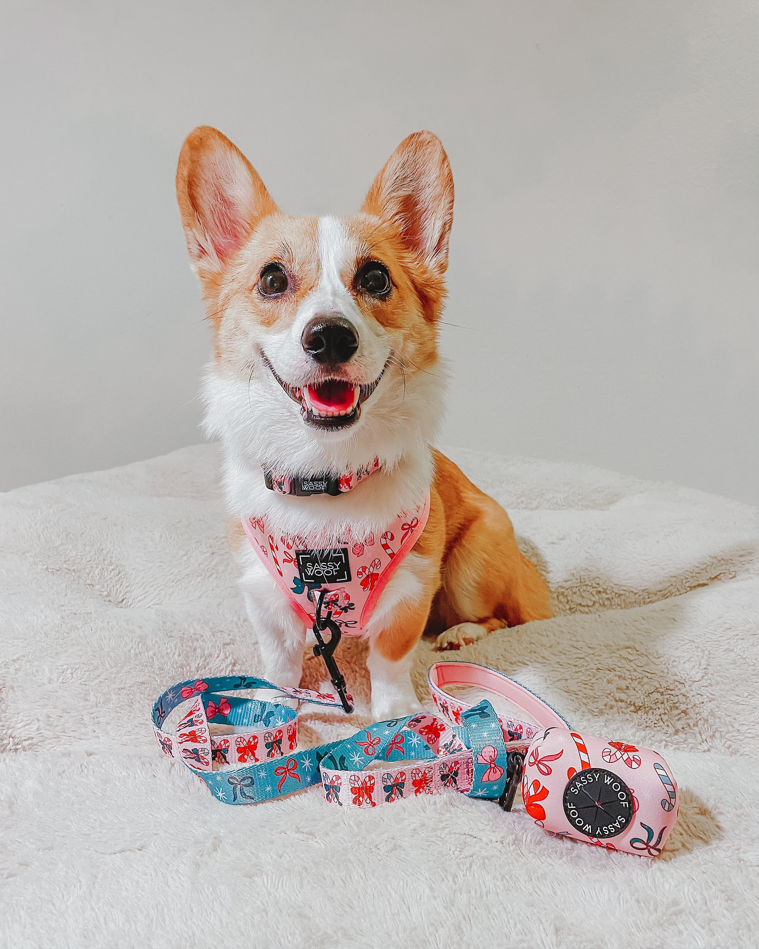 Dog Adjustable Harness - Candy Cane Coquette