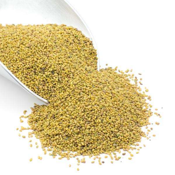 Alfalfa Seeds, Organic