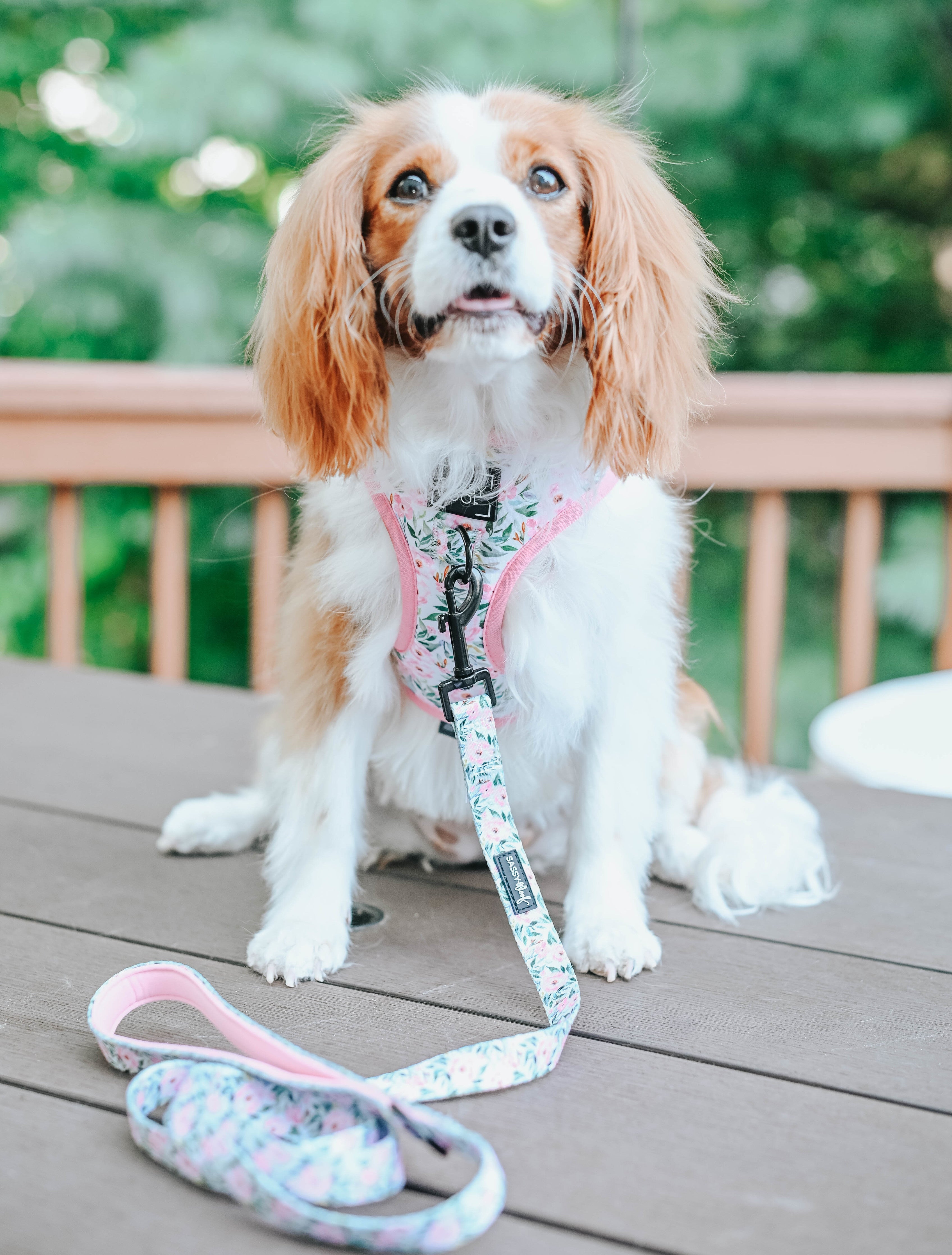Dog Adjustable Harness - Magnolia