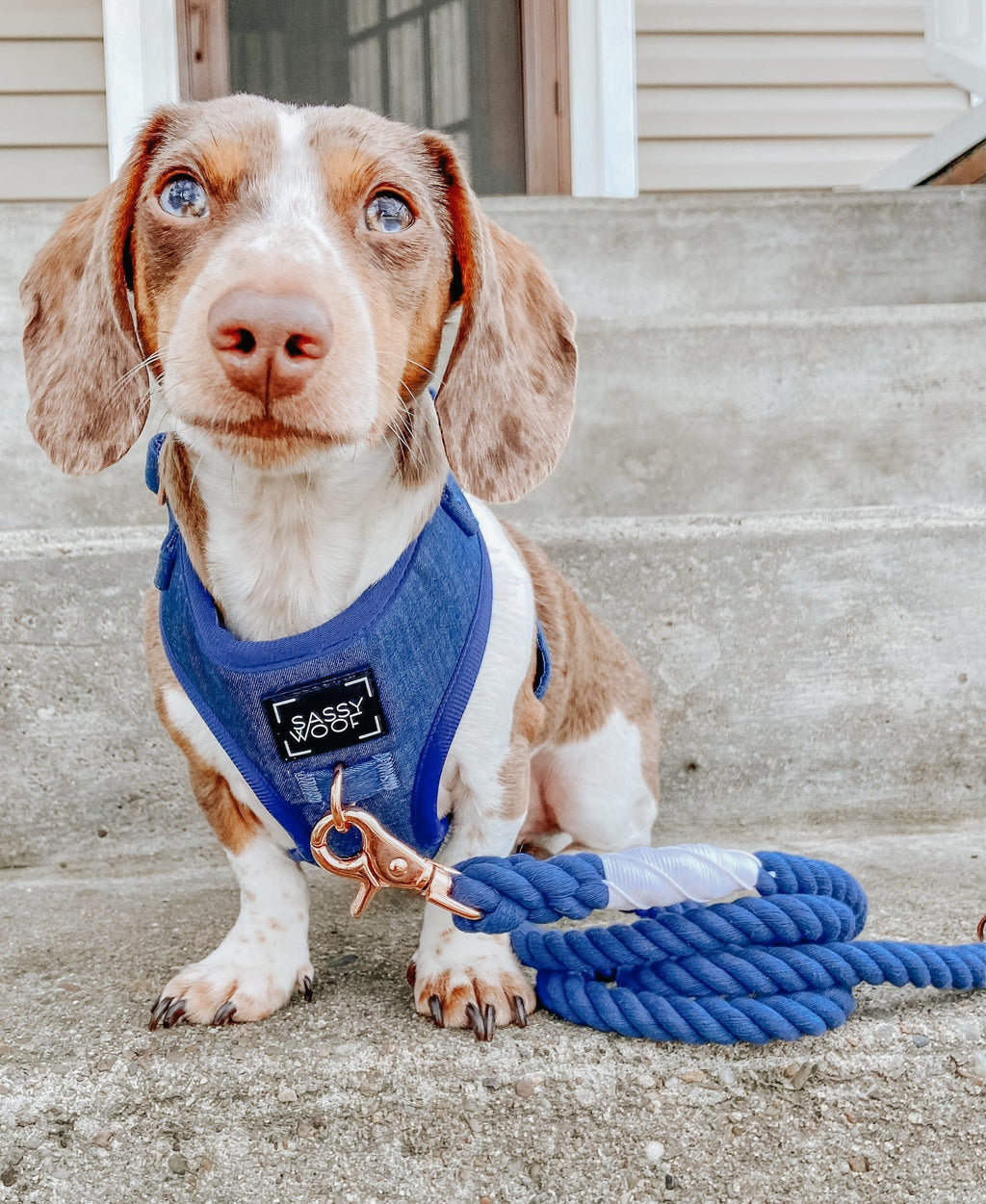 Dog Adjustable Harness - Denim