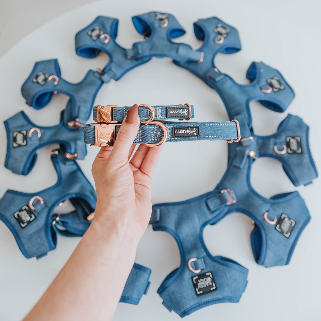 Dog Collar - Denim