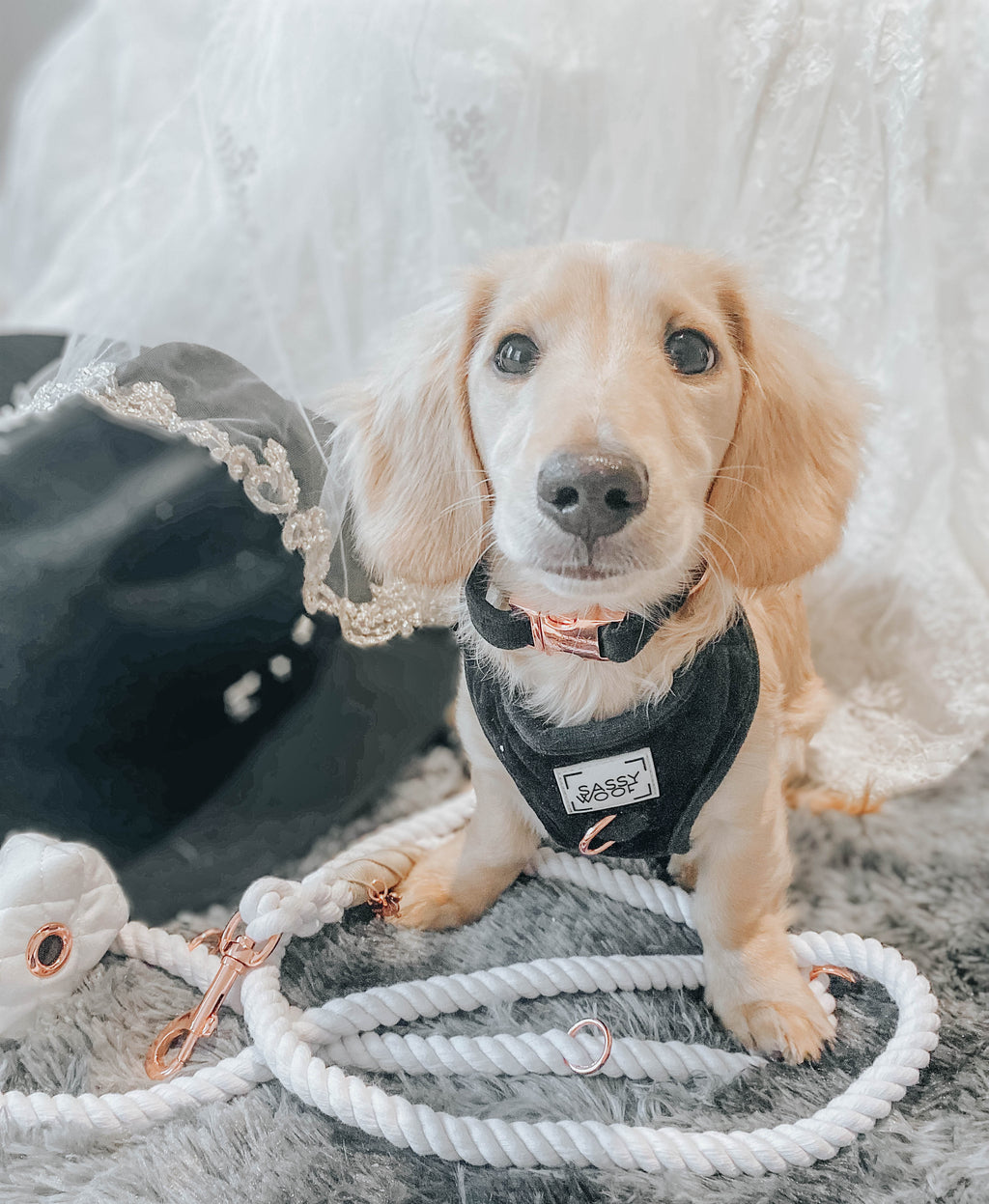 Hands Free Rope Leash - Dove