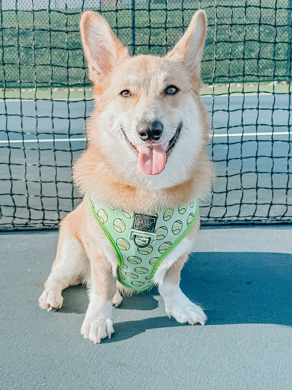 Dog Reversible Harness - Serving Up Sass