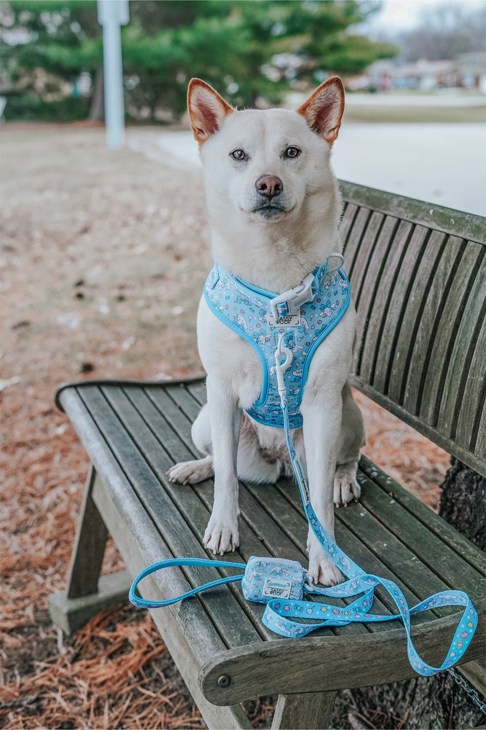Dog Collar - Cinnamoroll™