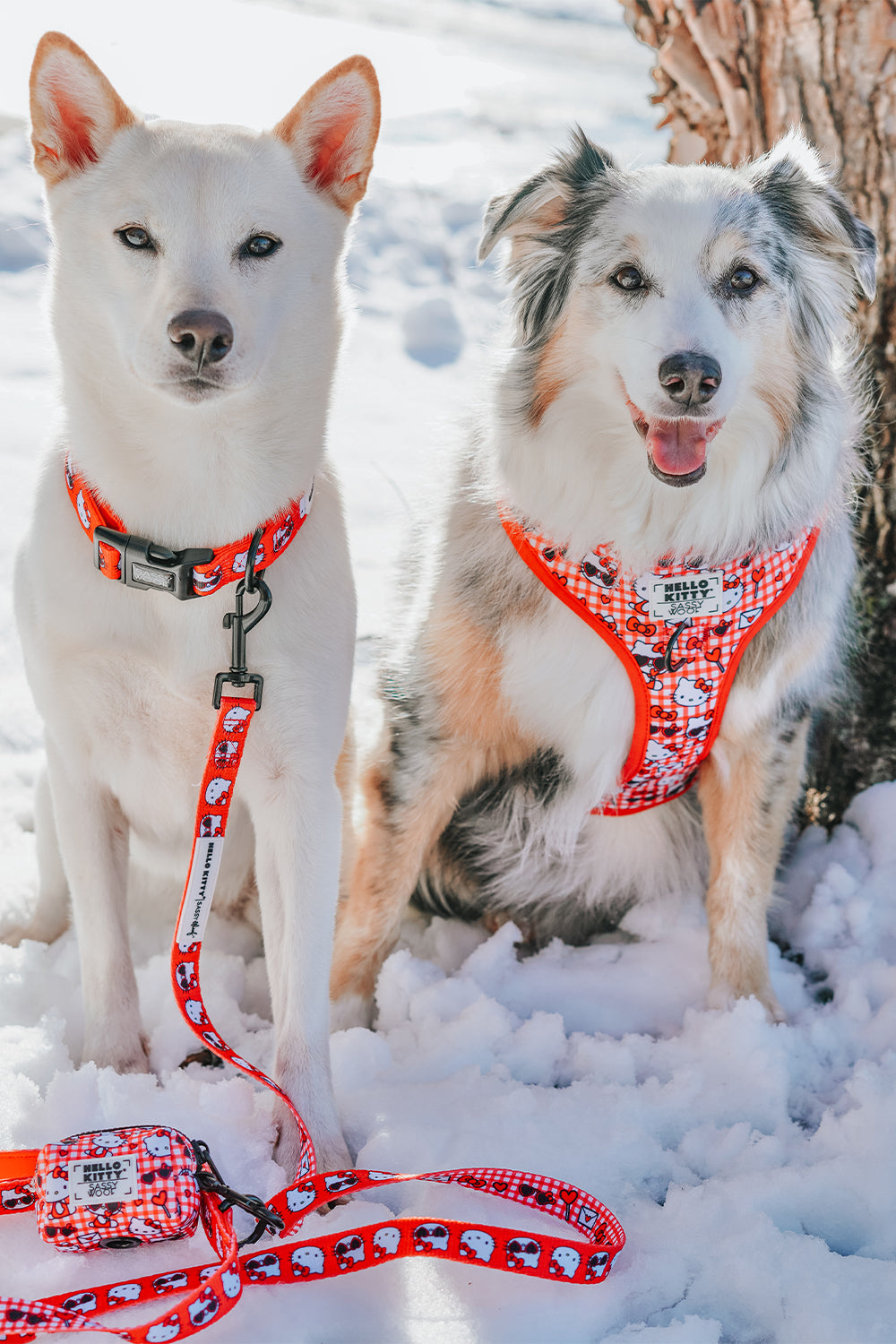 Dog Adjustable Harness - Hello Kitty® Red Classic