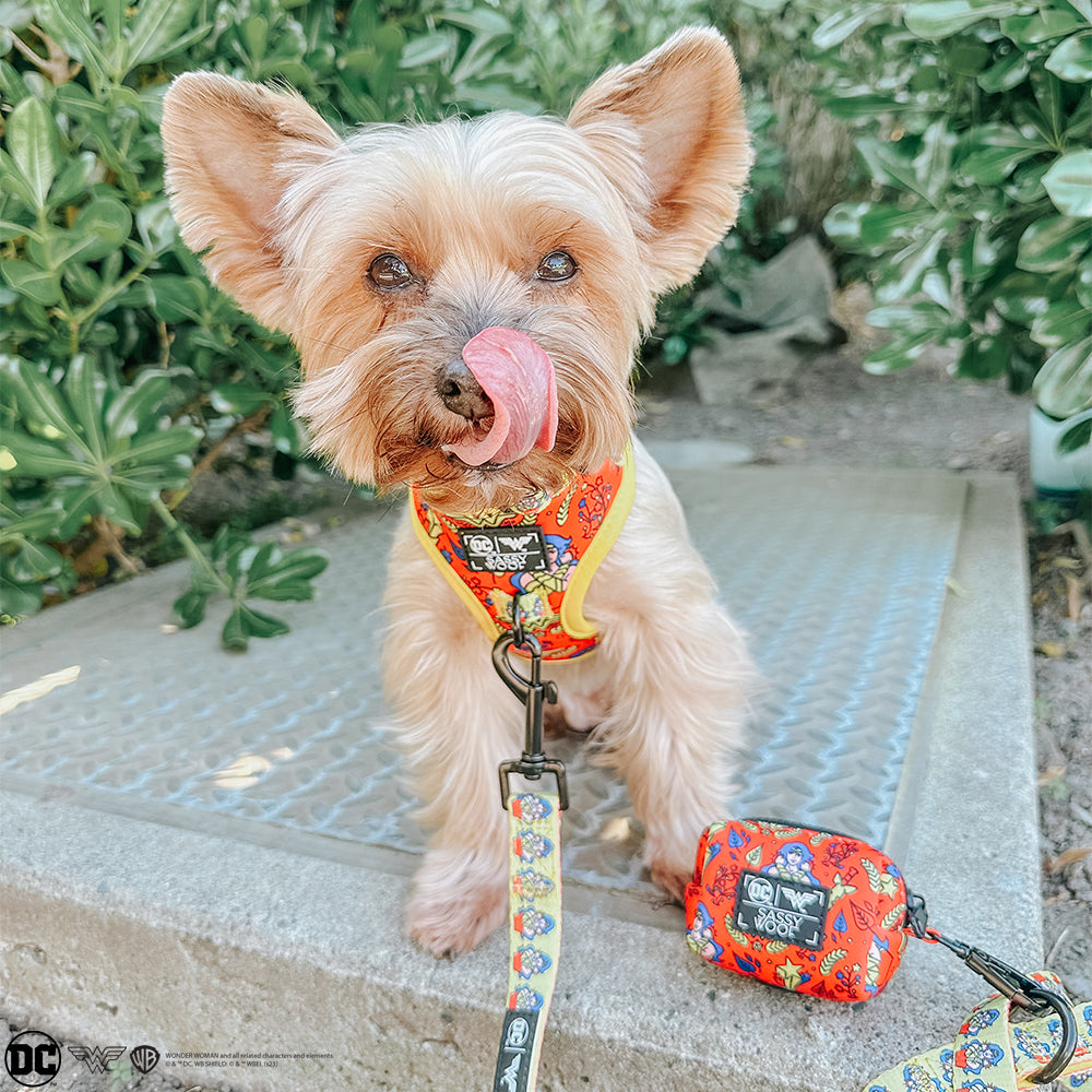 Dog Adjustable Harness - Wonder Woman™