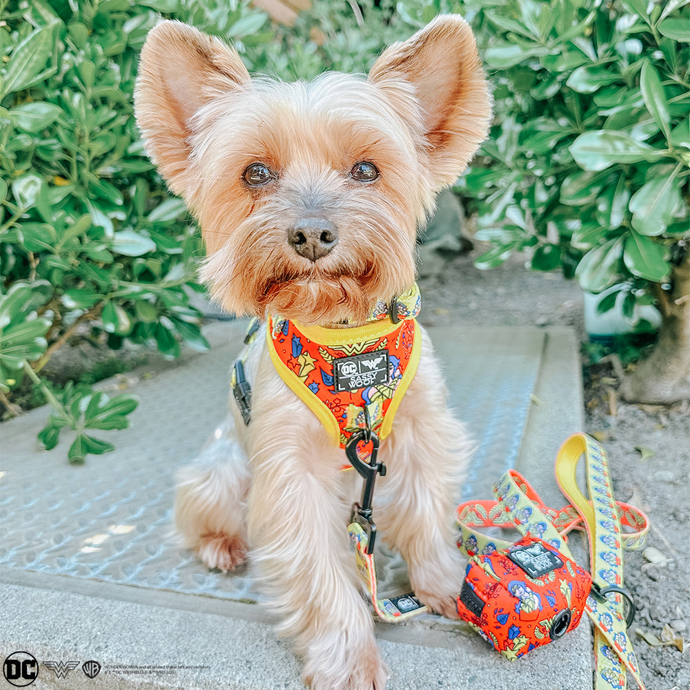 Dog Adjustable Harness - Wonder Woman™