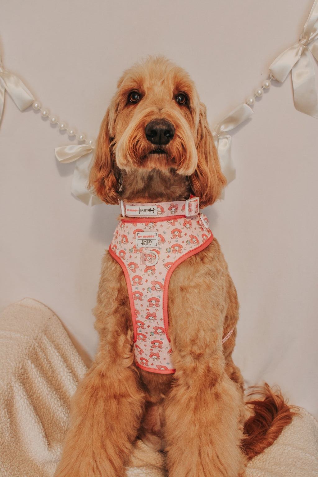 Collar Three Piece Bundle - My Melody™