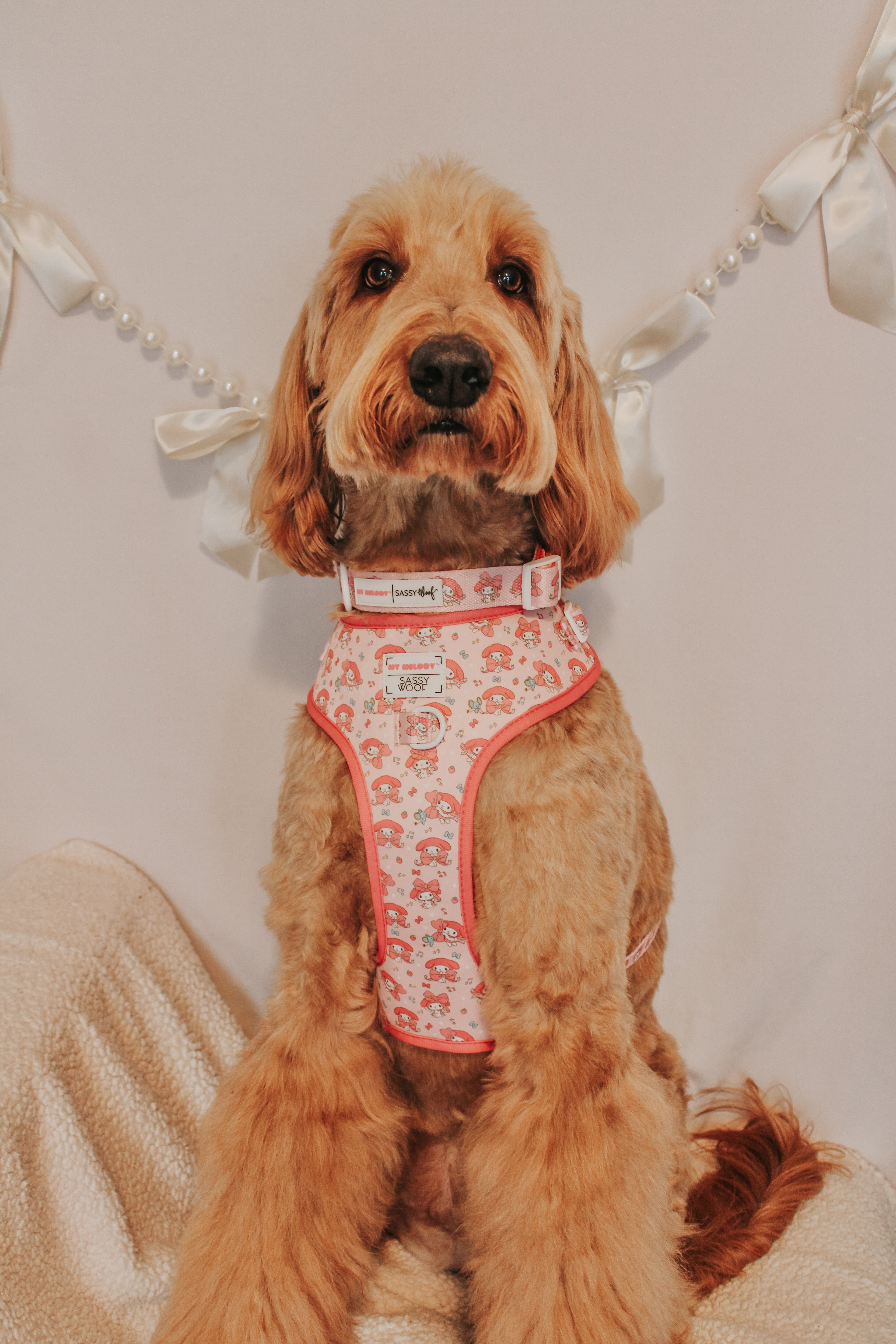 Collar Three Piece Bundle - My Melody™