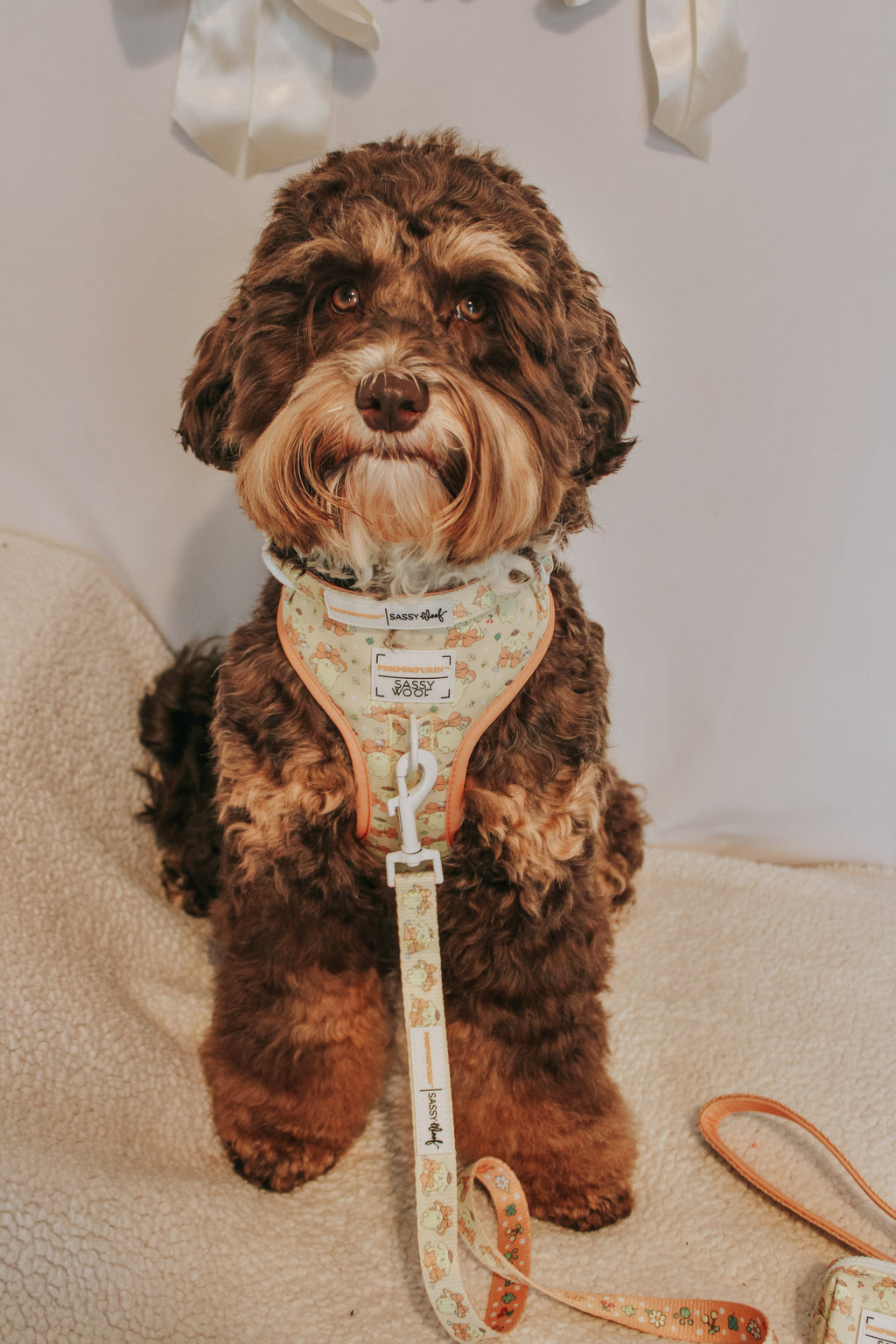 Dog Adjustable Harness - Pompompurin™