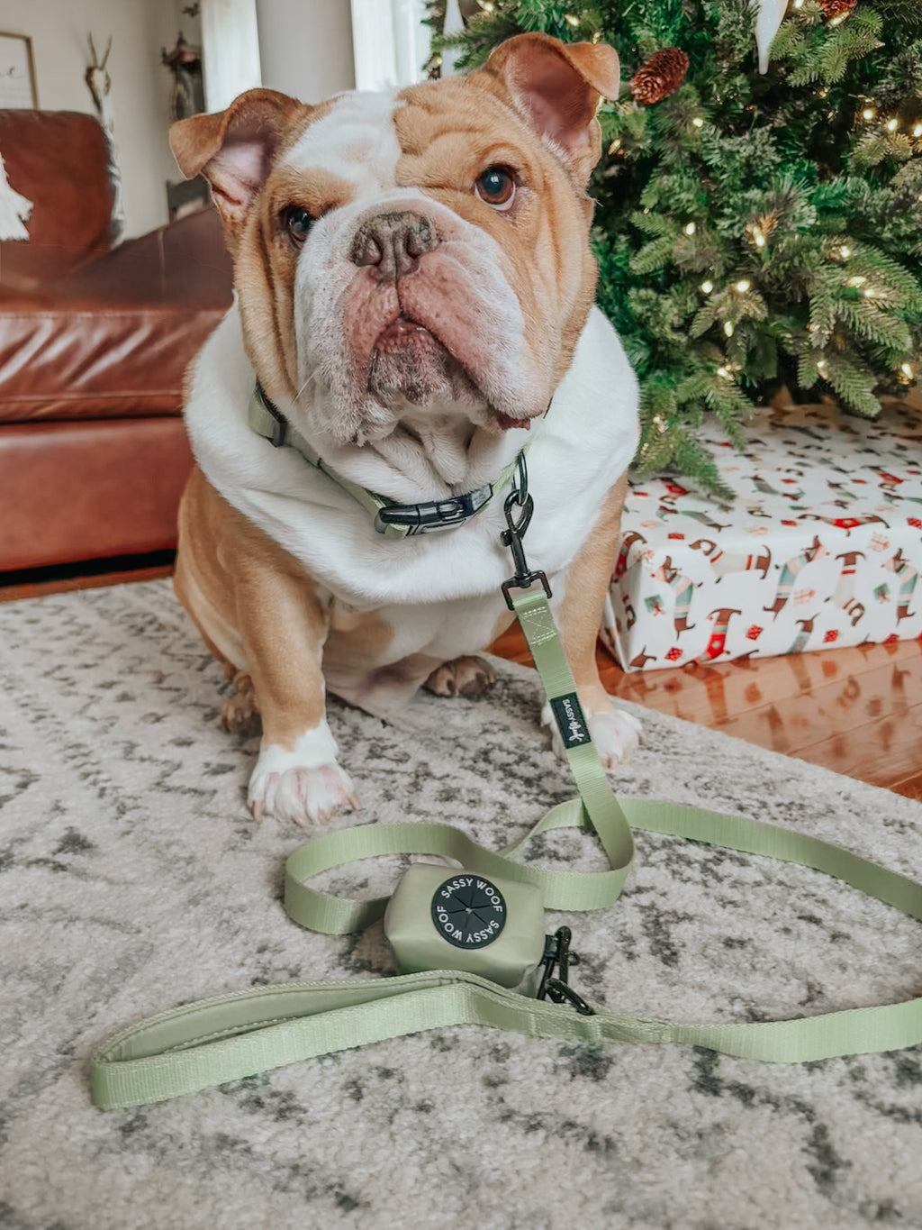 Dog Leash - Matcha