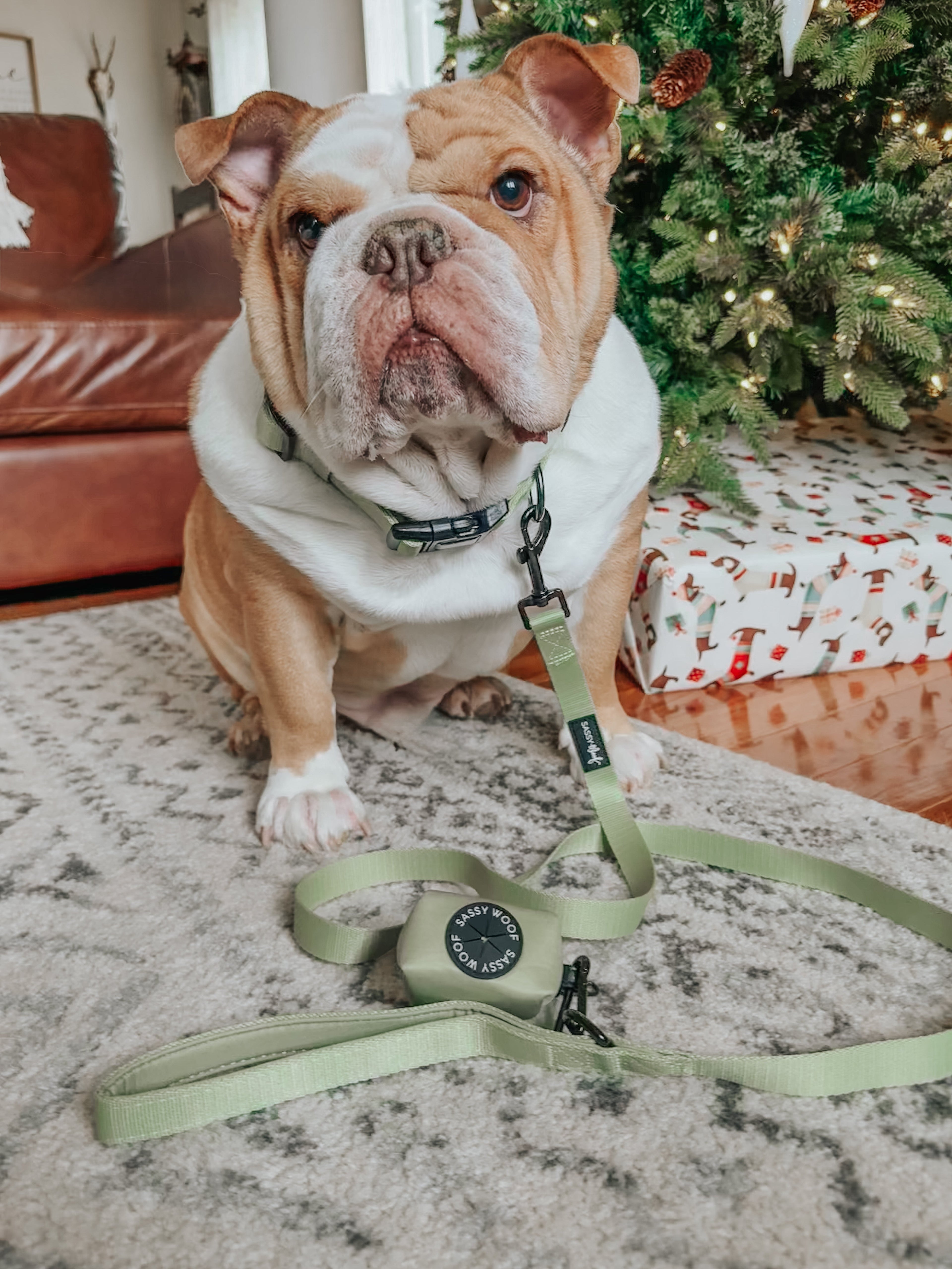 Dog Leash - Matcha