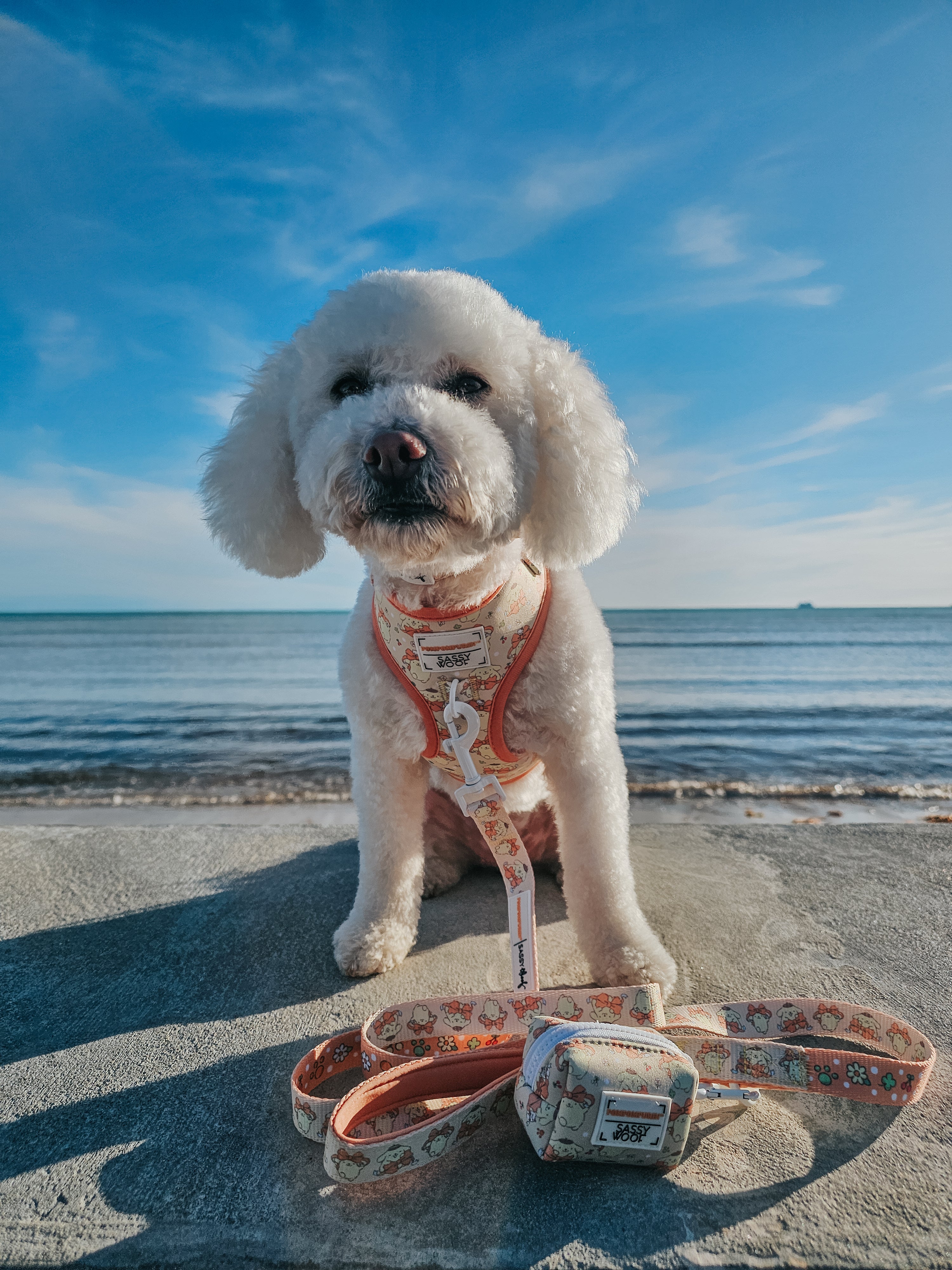 Dog Adjustable Harness - Pompompurin™