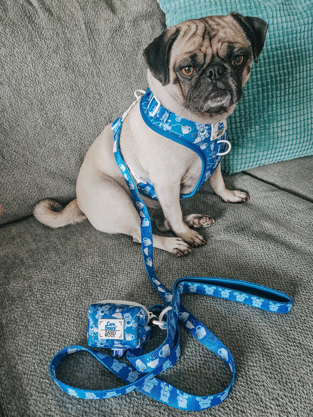 Dog Leash - Care Bears™ Grumpy Bear