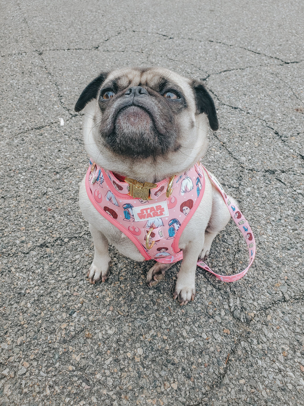 Dog Adjustable Harness - STAR WARS™ Princess Leia