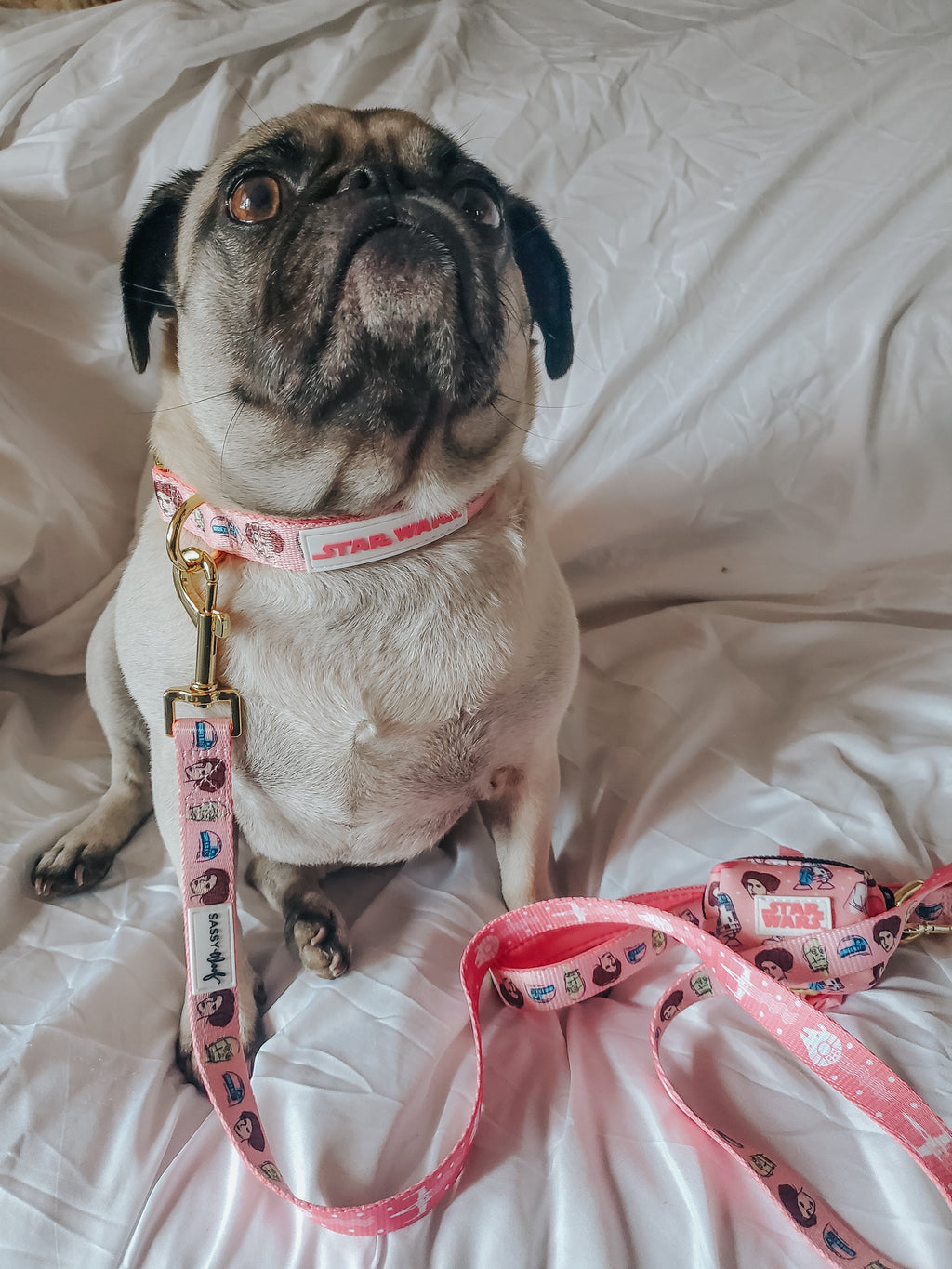 Dog Collar - STAR WARS™ Princess Leia