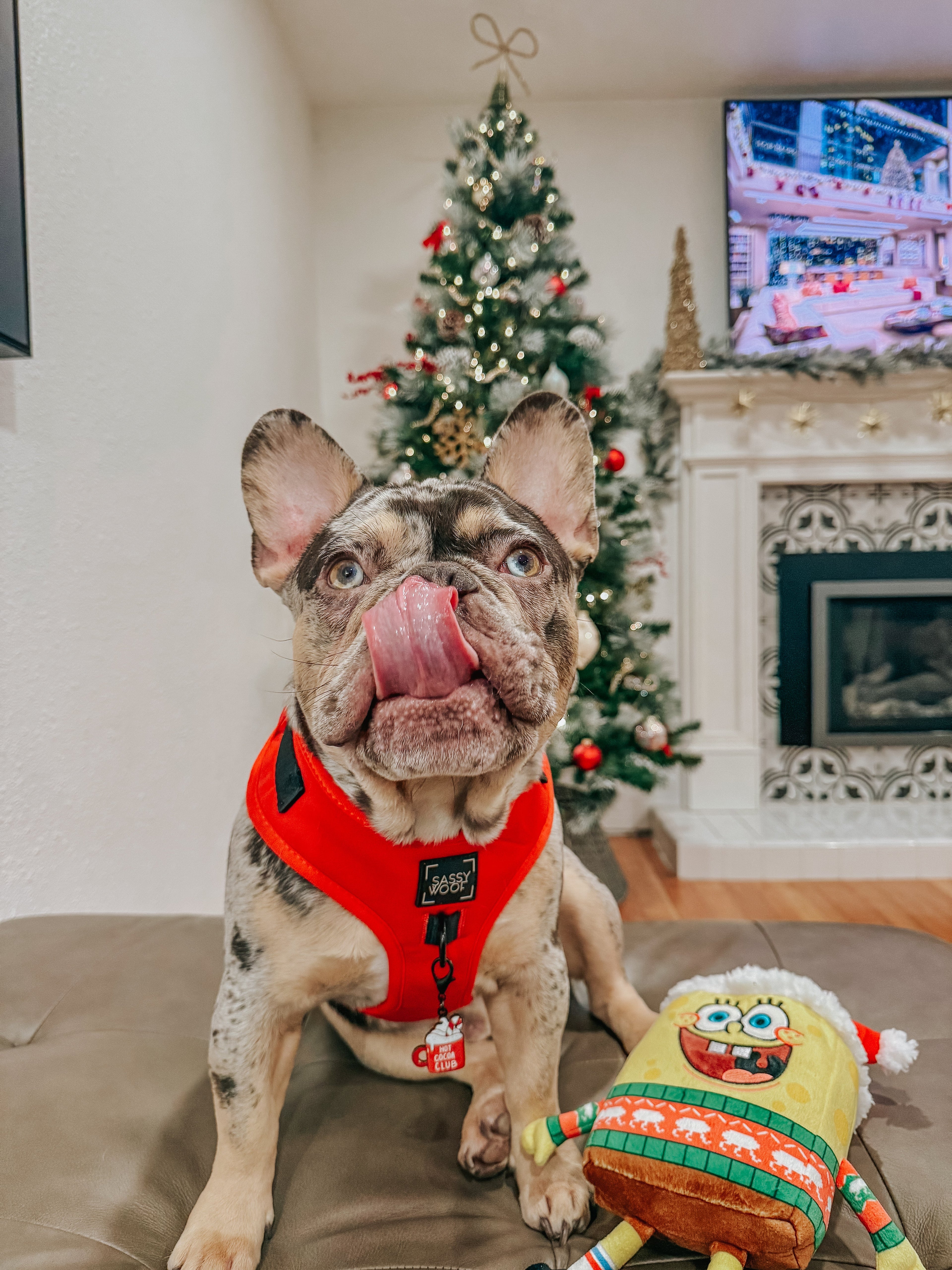 Dog Adjustable Harness - Neon Red