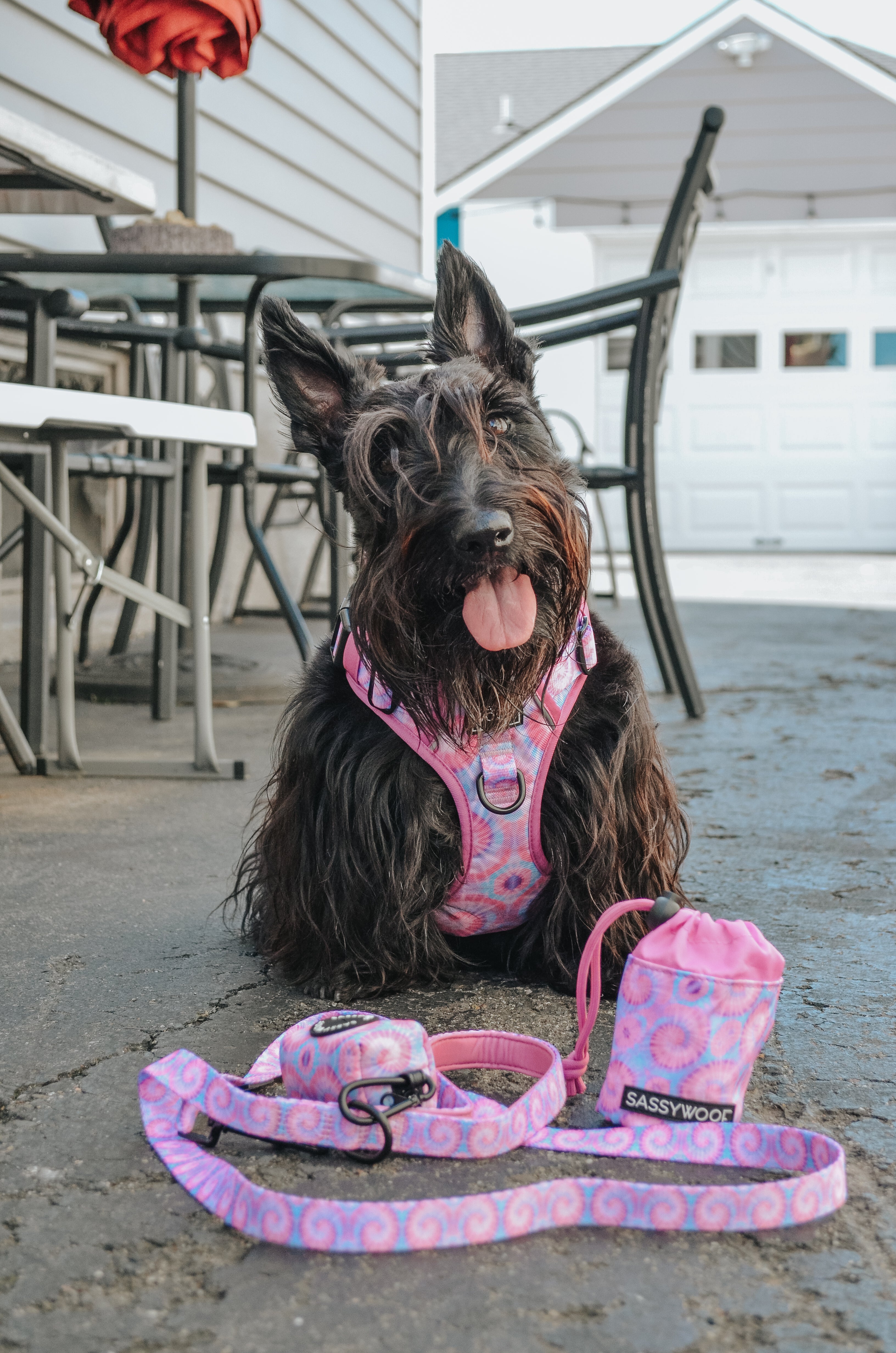Dog Step-in Harness - Purple Haze