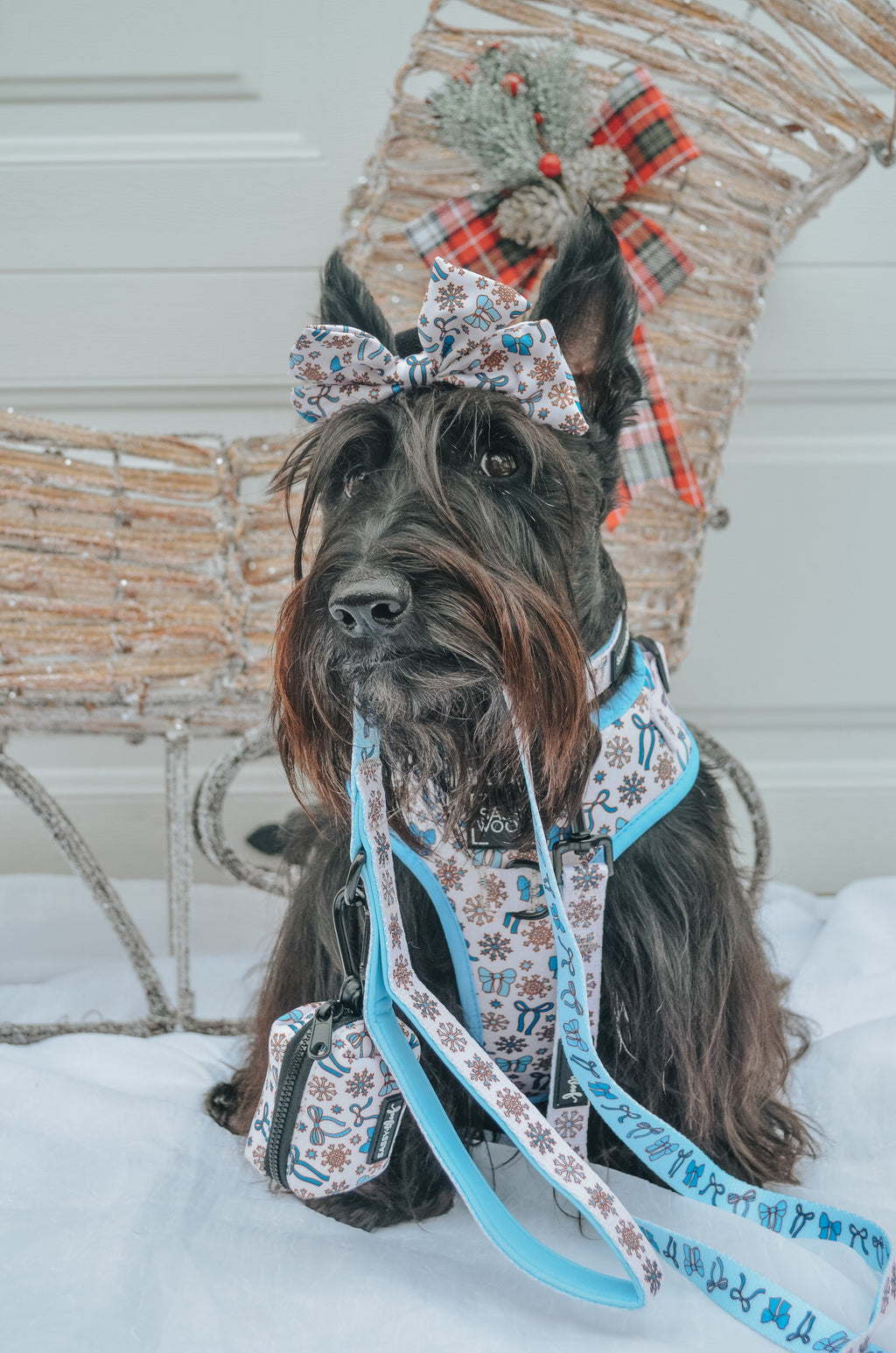 Dog Adjustable Harness - Let it Bow