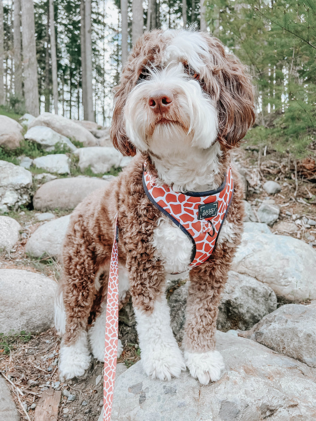 Dog Adjustable Harness - Giraffic Park
