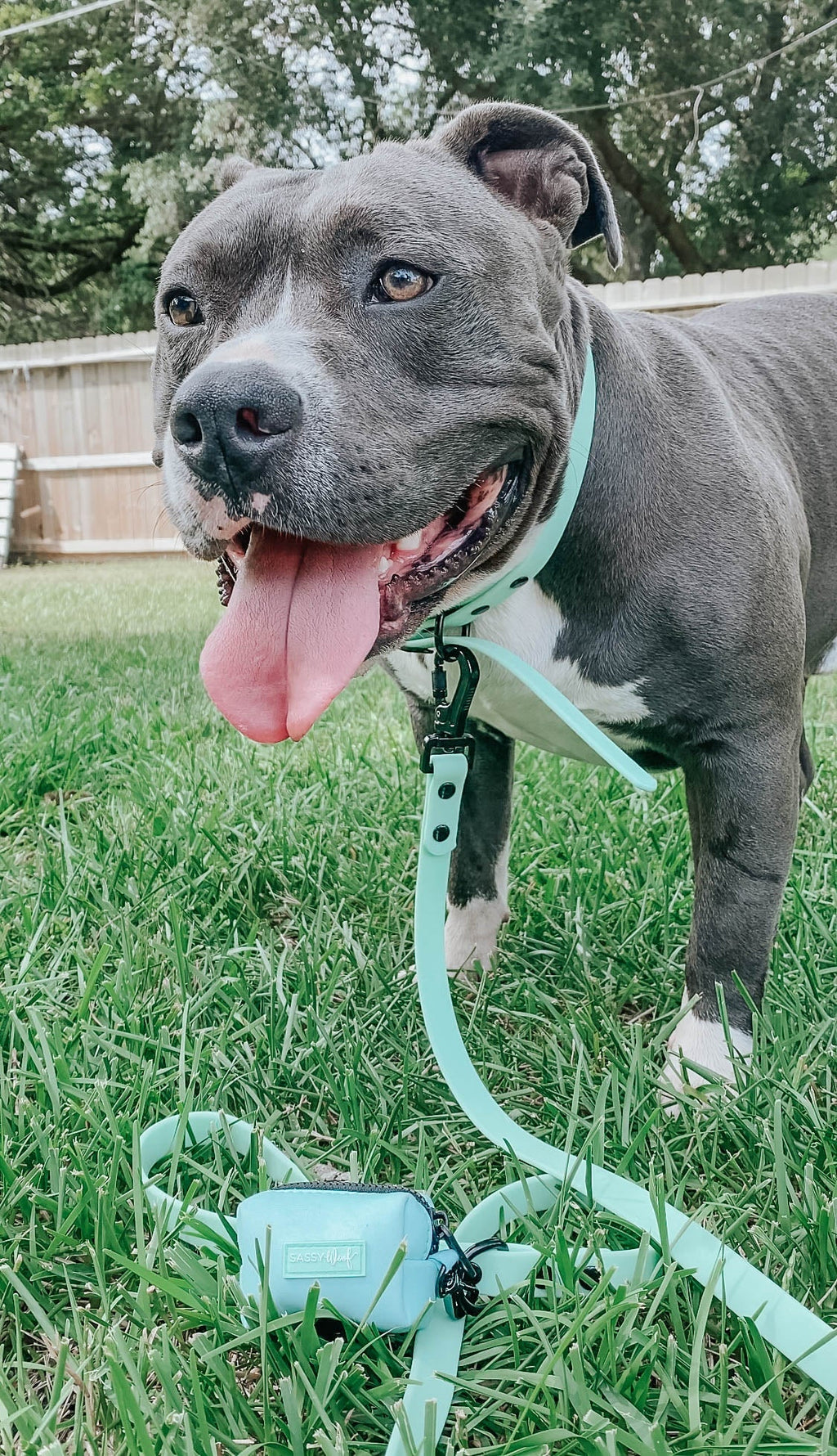 Dog Waterproof Leash - Green