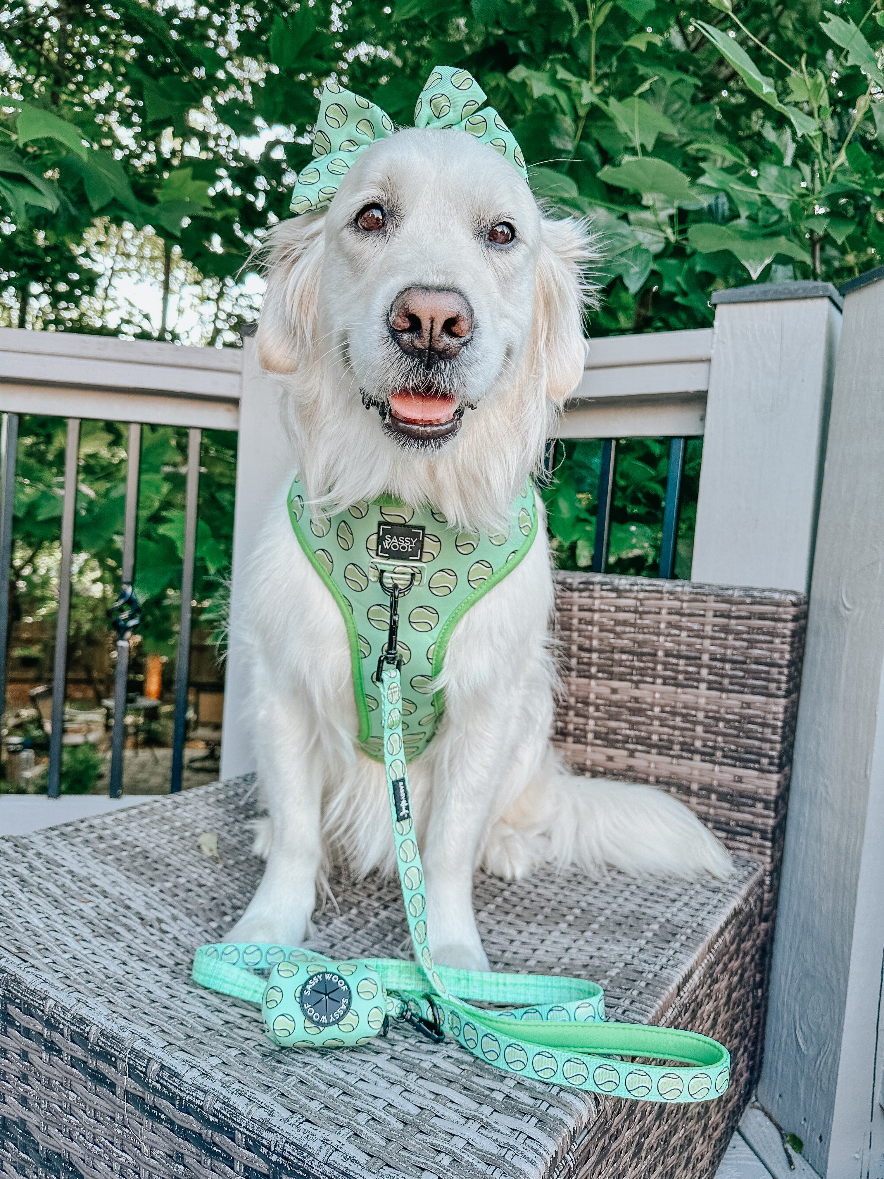 Dog Reversible Harness - Serving Up Sass