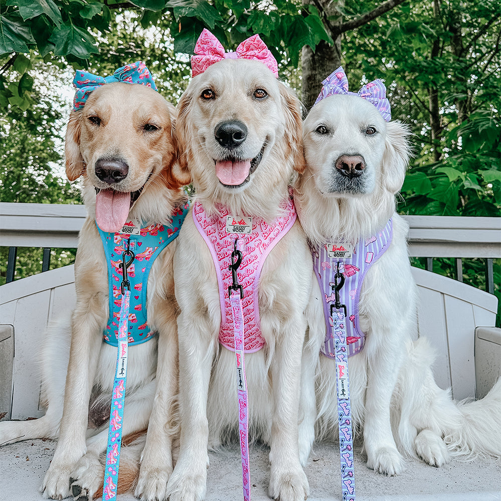 Dog Adjustable Harness - BARBIE™ Malibu