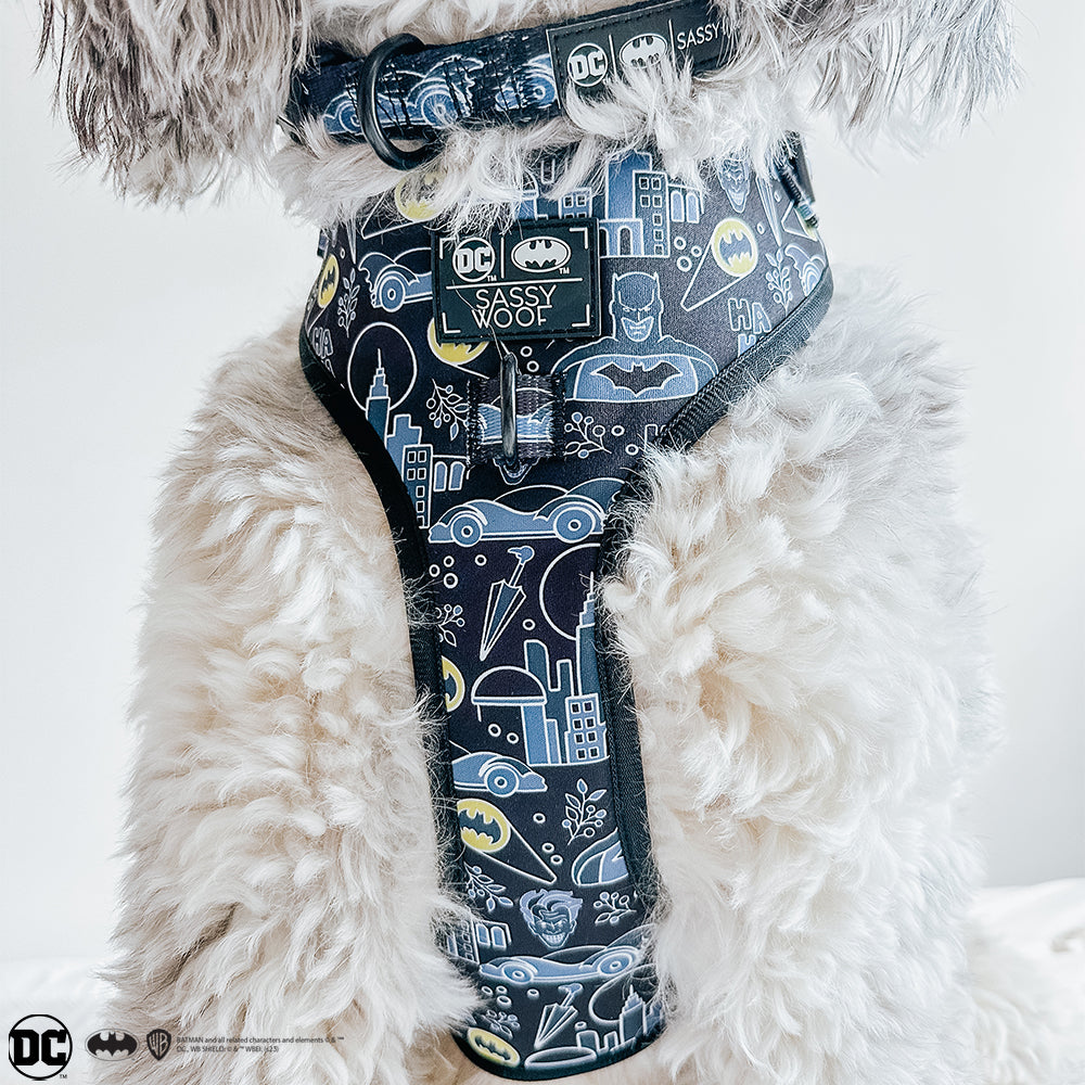 Dog Collar - Batman™