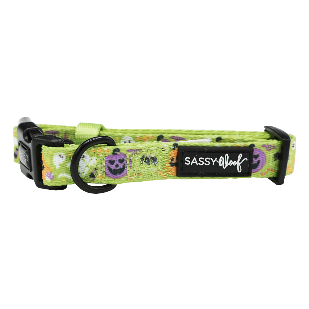 Dog Collar - Haunt Mess