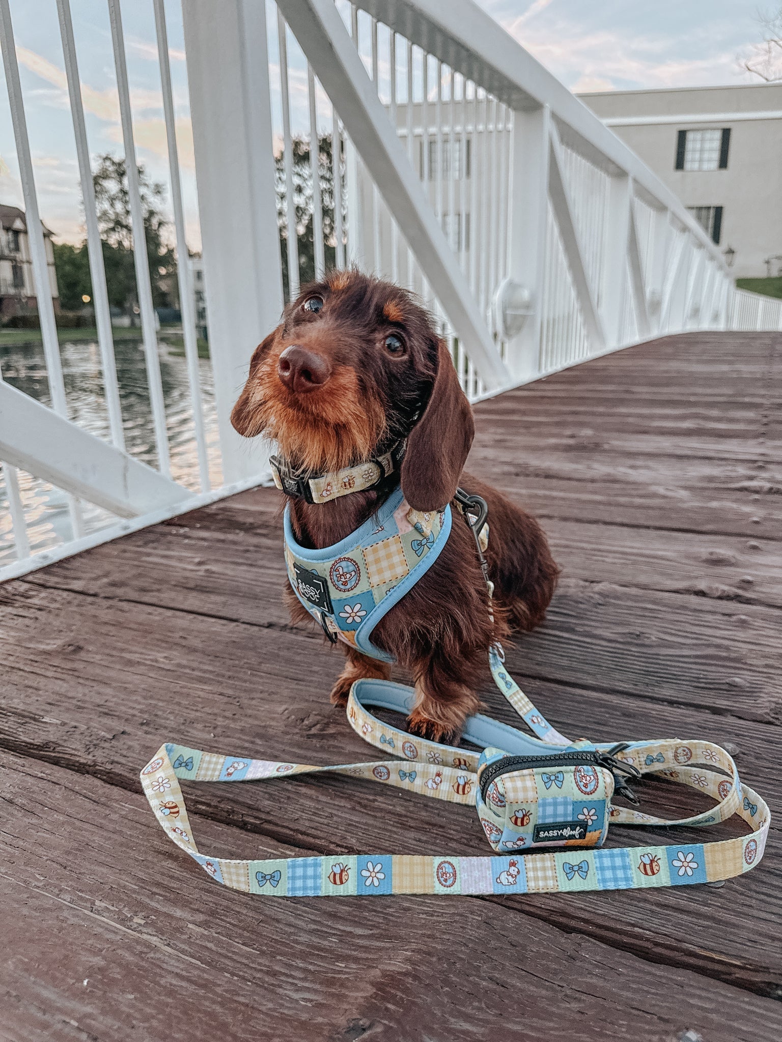 Dog Leash - Patch Perfect