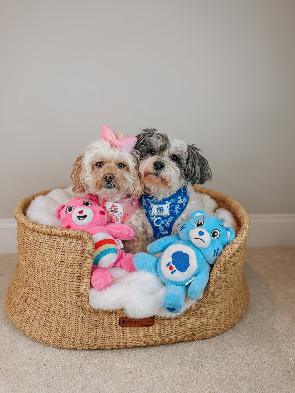 Dog Adjustable Harness - Care Bears™ Grumpy Bear