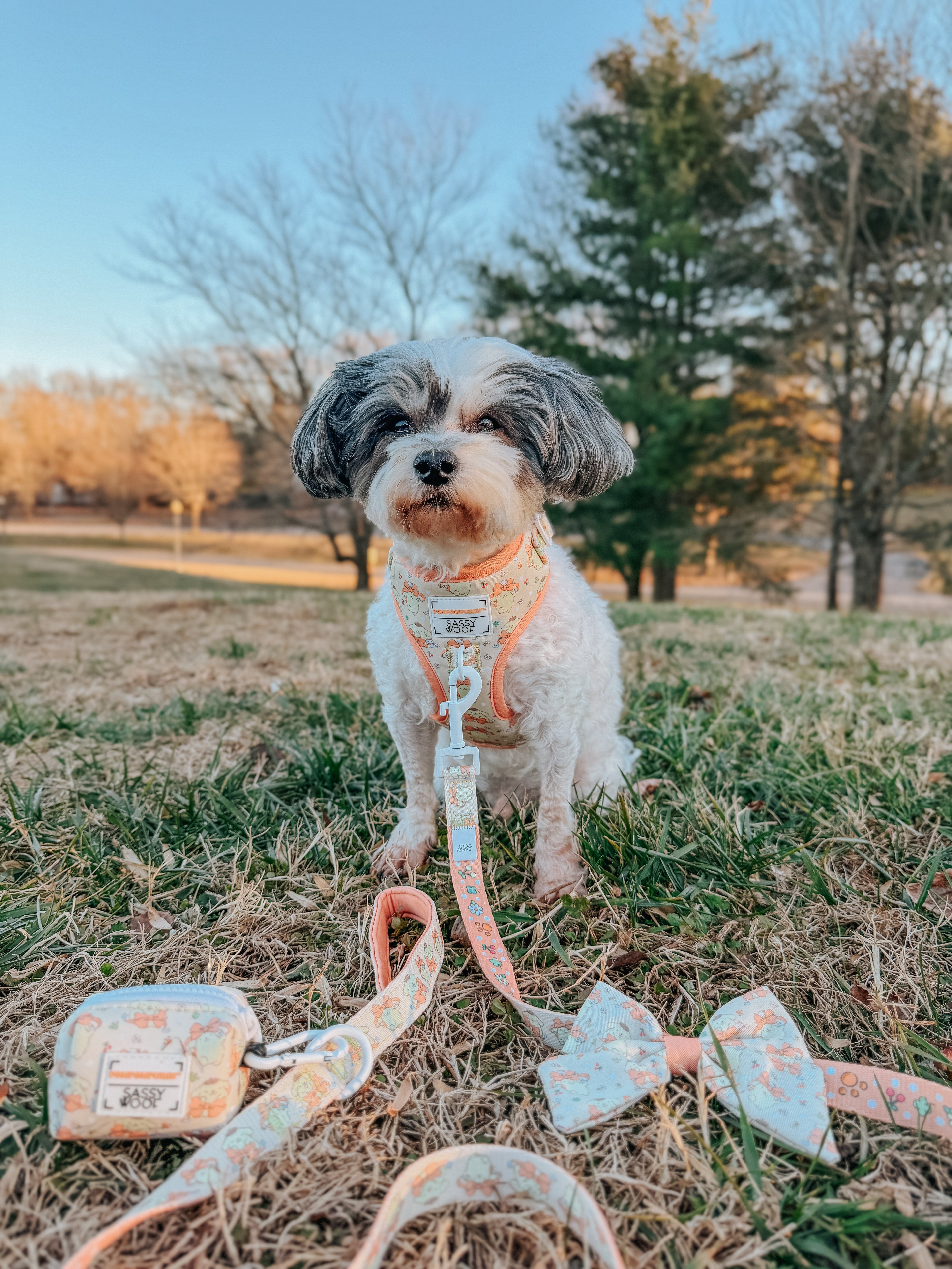 Dog Adjustable Harness - Pompompurin™