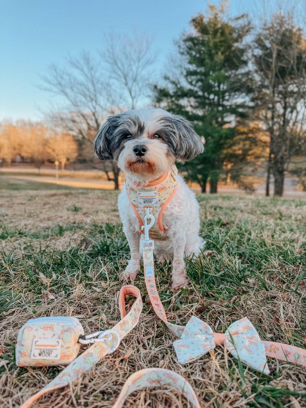 Dog Leash - Pompompurin™