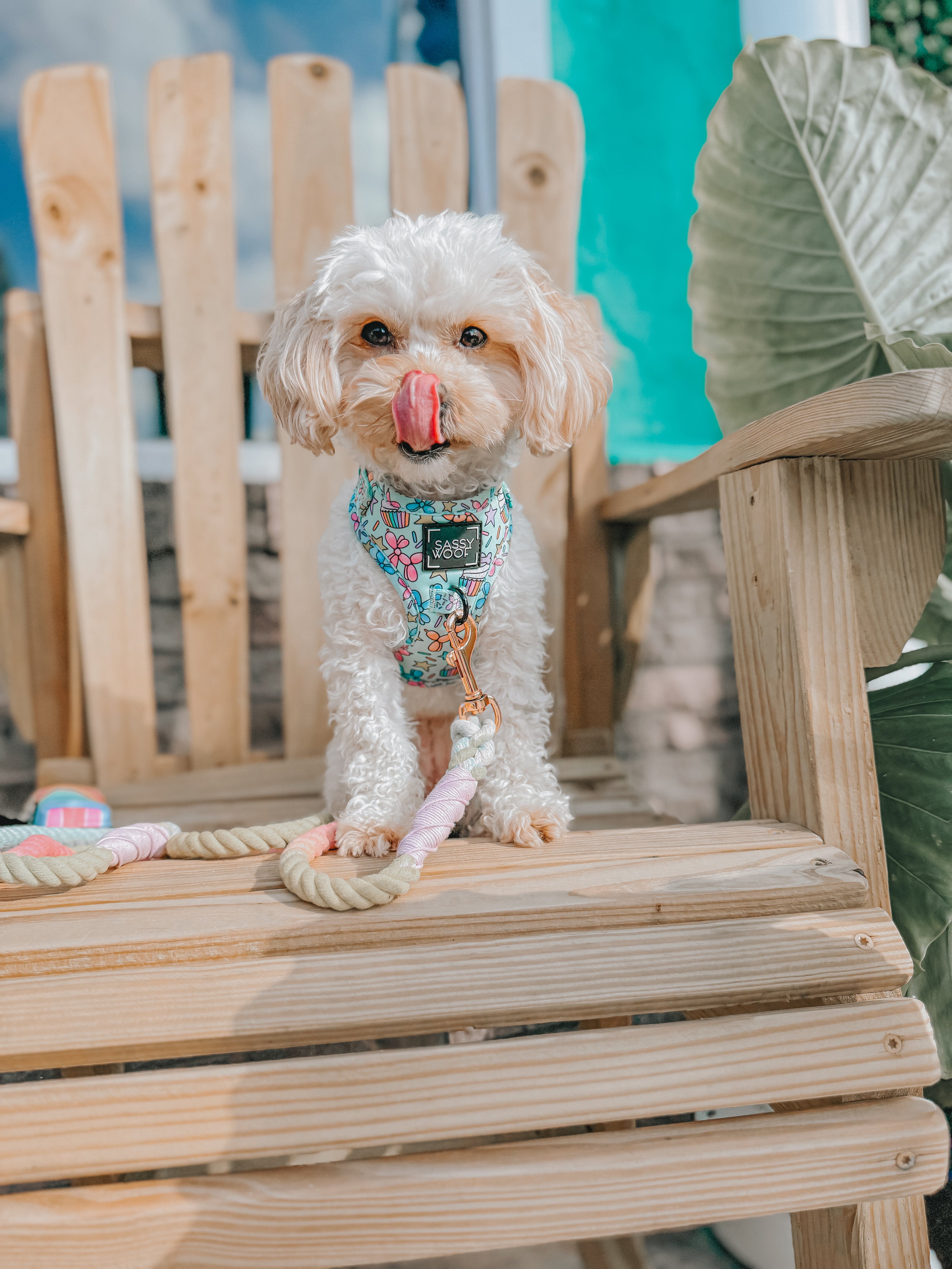 Dog Adjustable Harness - Pup Pup Hooray